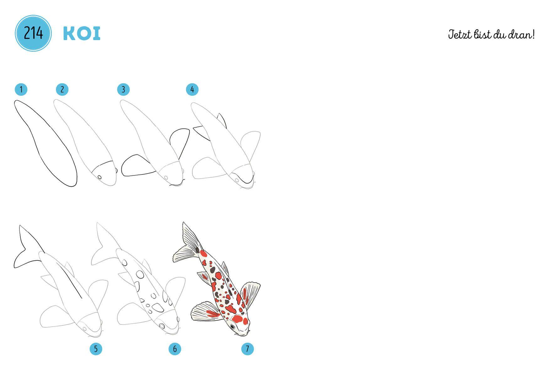 Beispielinhalt (Bild) 300 Motive zeichnen - Tiere