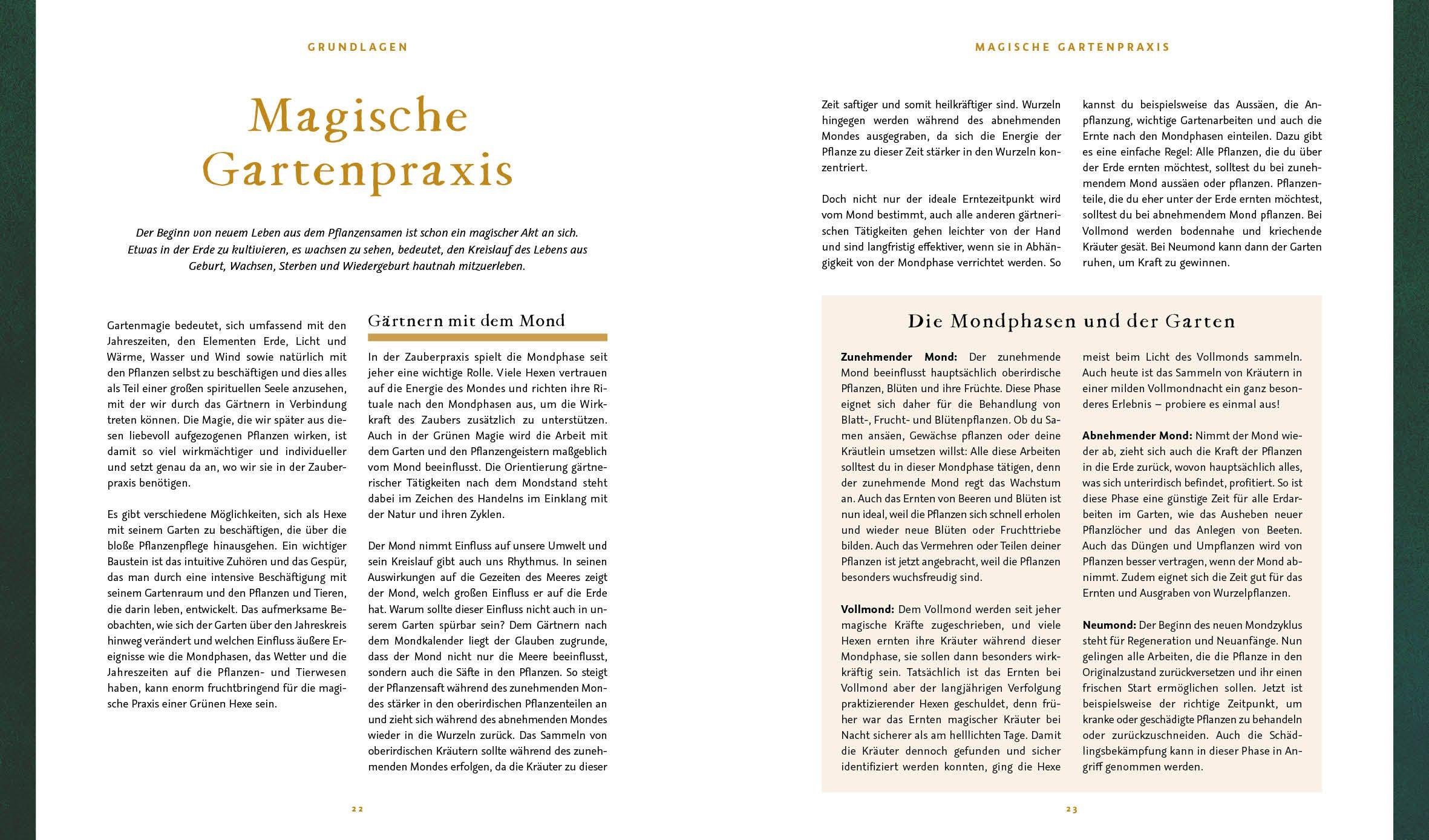 Beispielinhalt (Bild) Magie im Hexengarten - Gärtnern mit grüner Magie