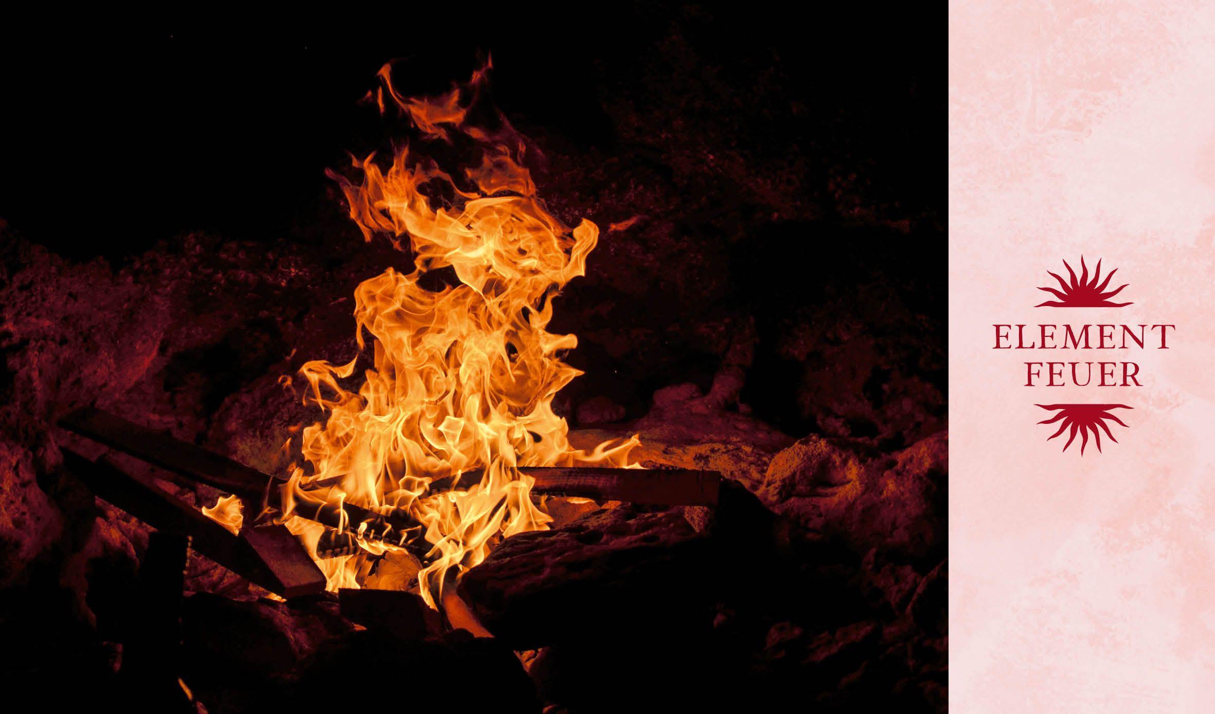 Beispielinhalt (Bild) Magie im Hexengarten - Gärtnern mit grüner Magie