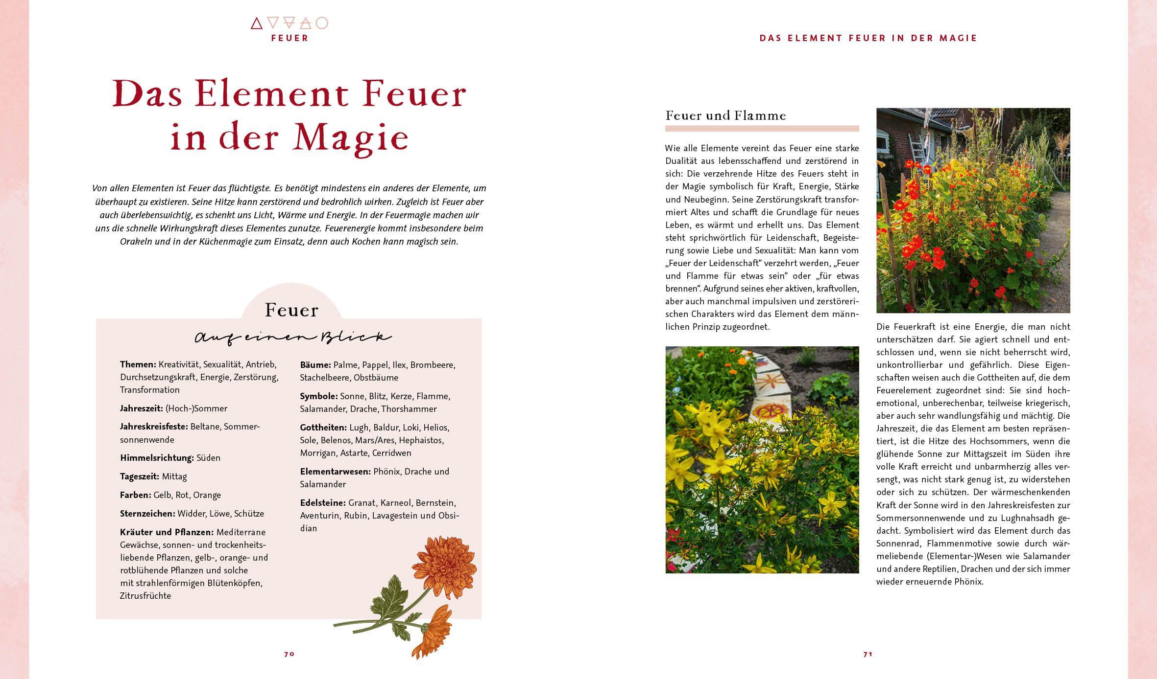 Beispielinhalt (Bild) Magie im Hexengarten - Gärtnern mit grüner Magie