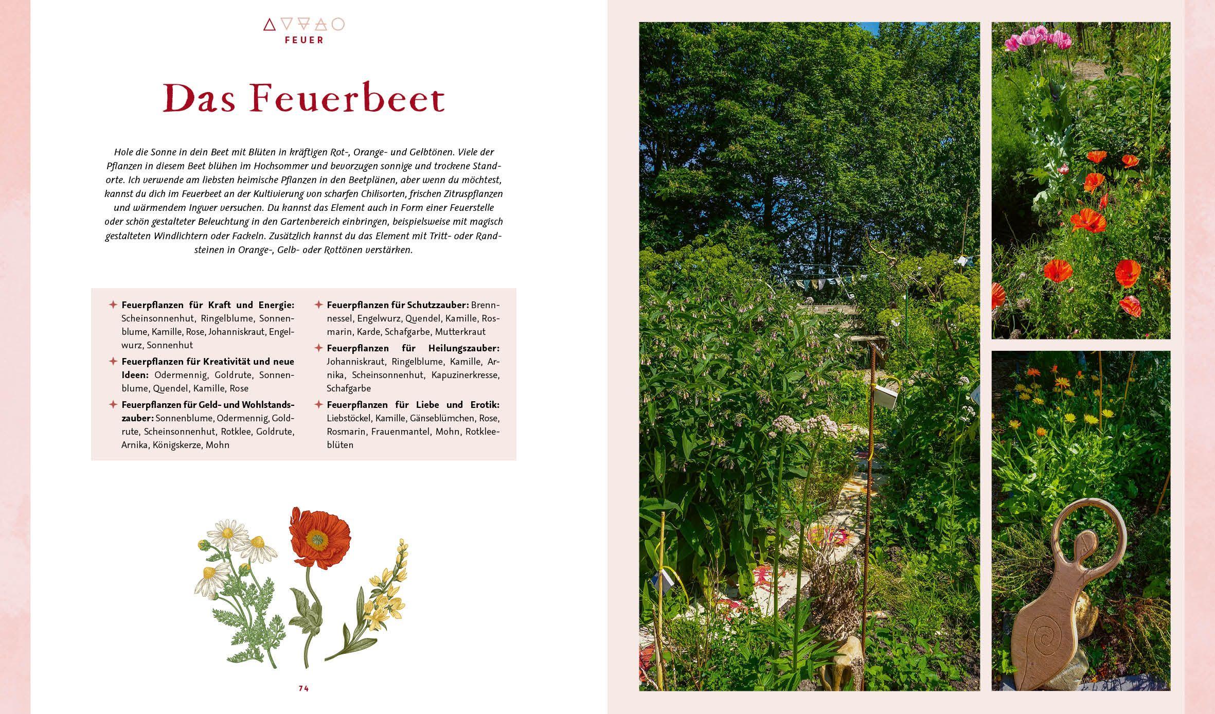 Beispielinhalt (Bild) Magie im Hexengarten - Gärtnern mit grüner Magie