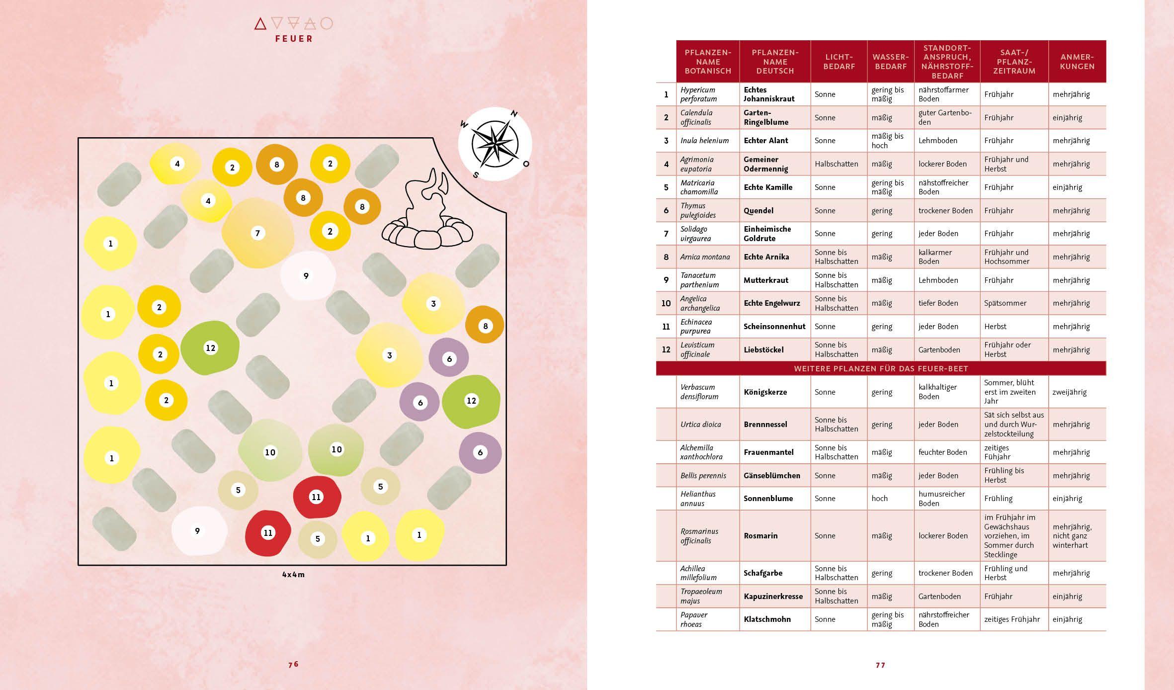 Beispielinhalt (Bild) Magie im Hexengarten - Gärtnern mit grüner Magie