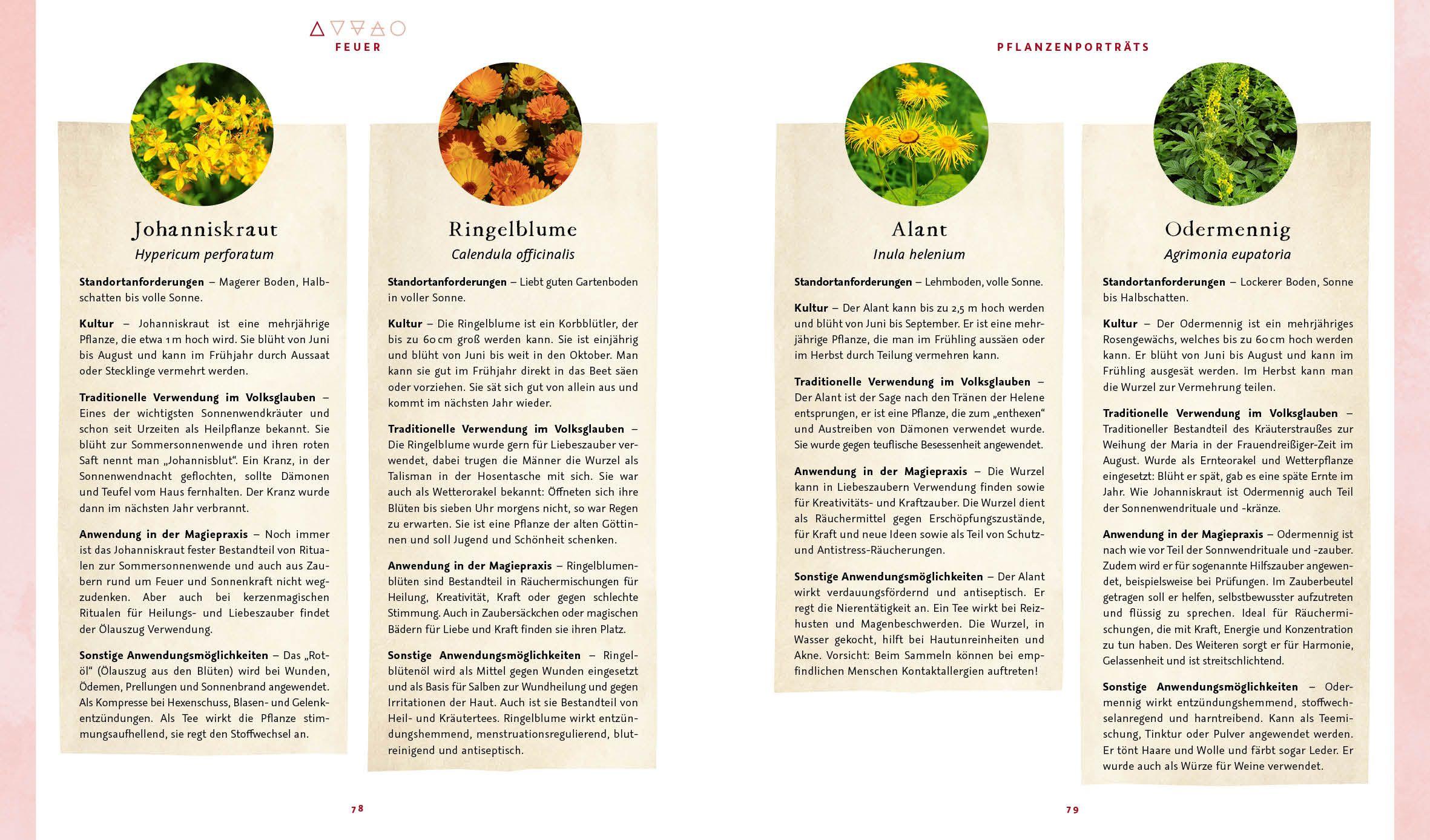 Beispielinhalt (Bild) Magie im Hexengarten - Gärtnern mit grüner Magie