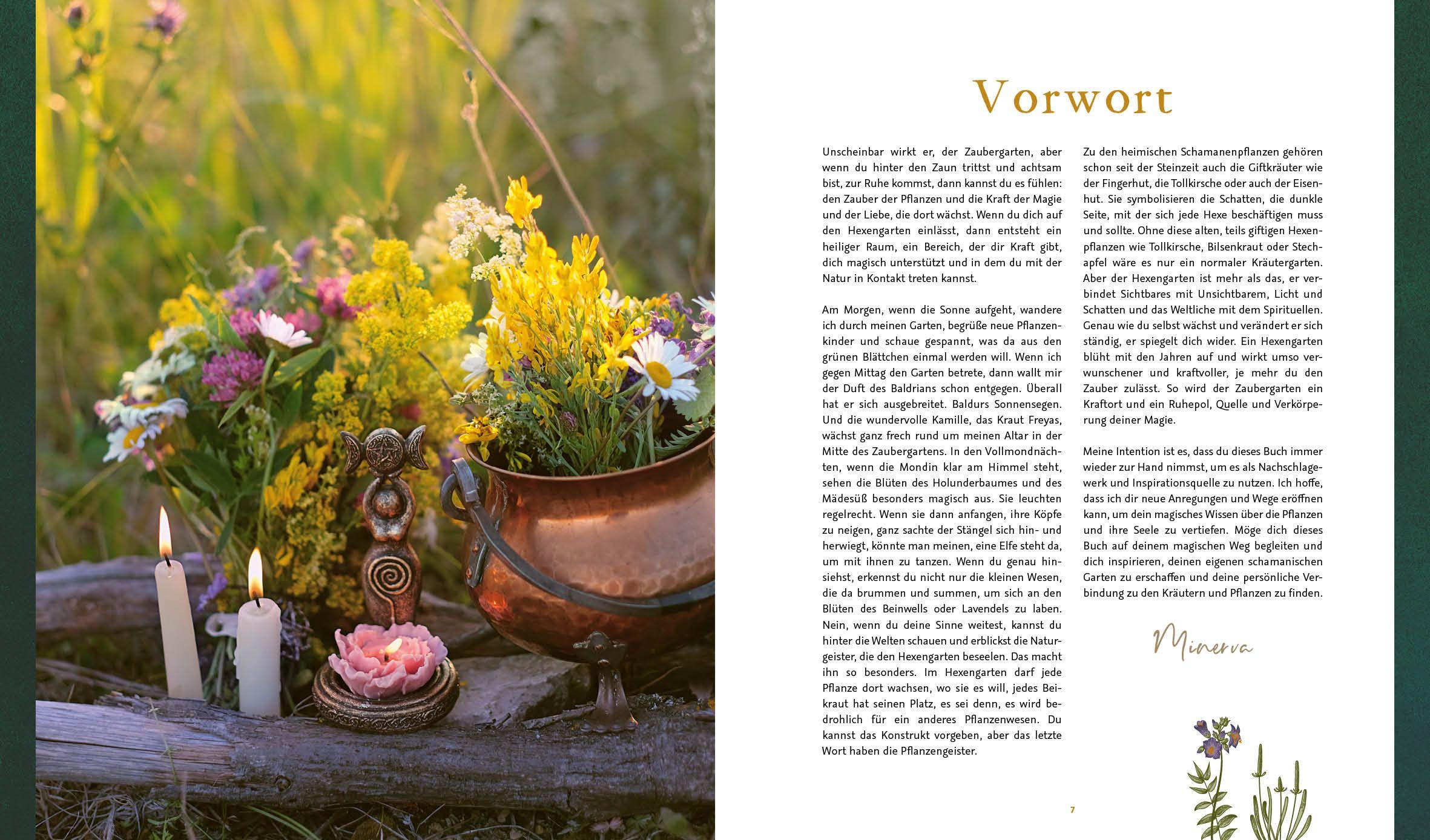 Beispielinhalt (Bild) Magie im Hexengarten - Gärtnern mit grüner Magie
