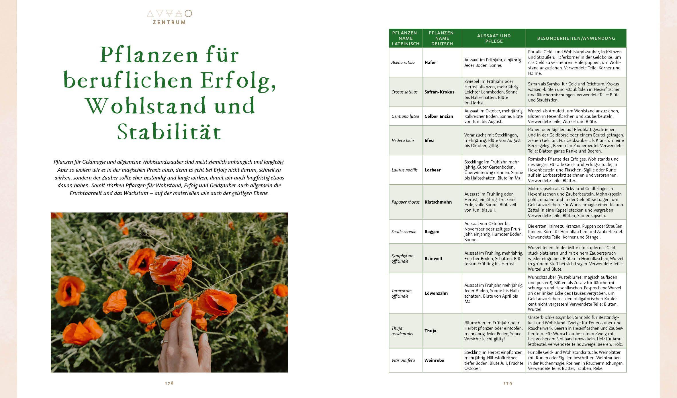 Beispielinhalt (Bild) Magie im Hexengarten - Gärtnern mit grüner Magie