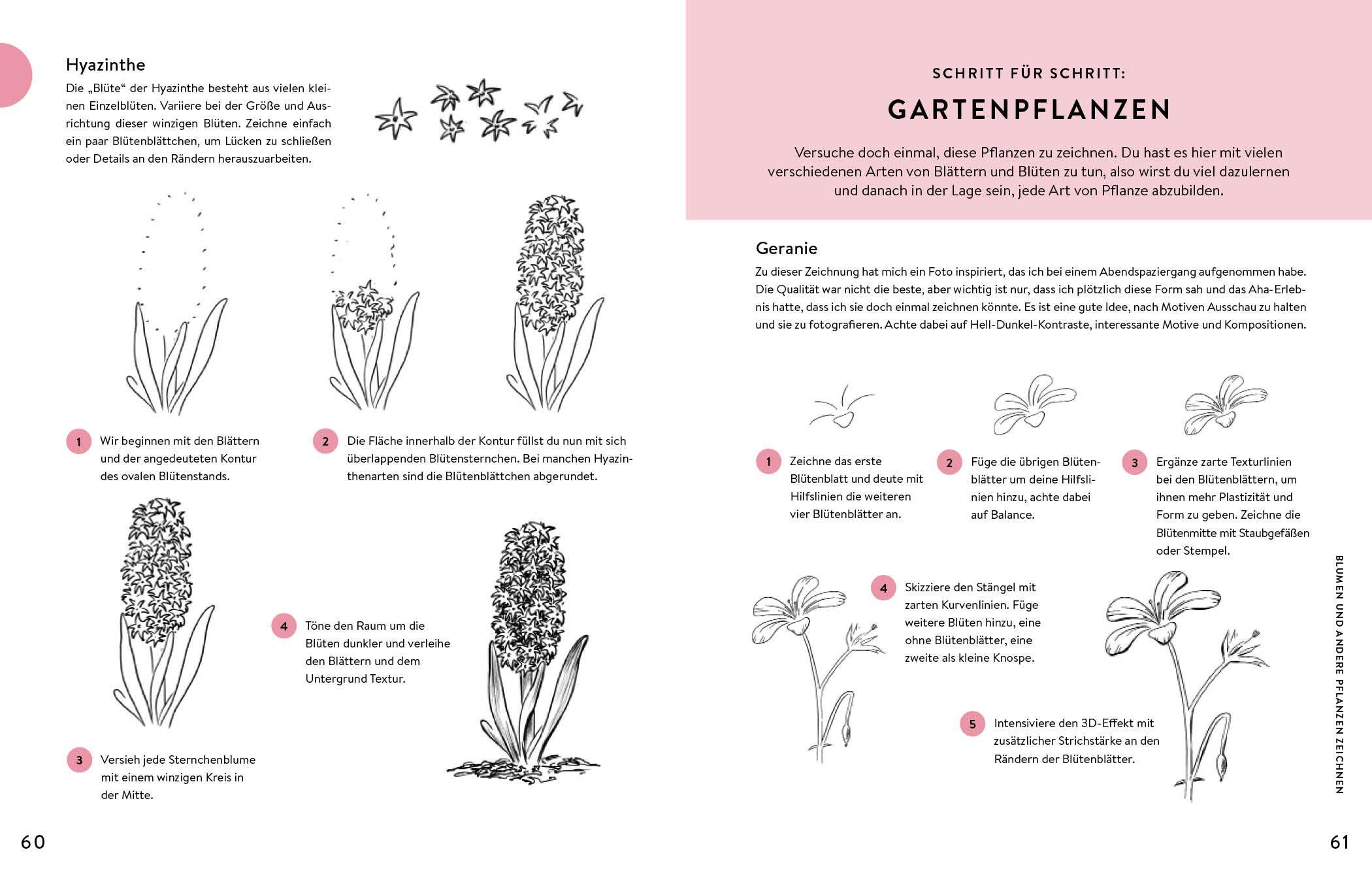 Beispielinhalt (Bild) Jeden Tag zeichnen