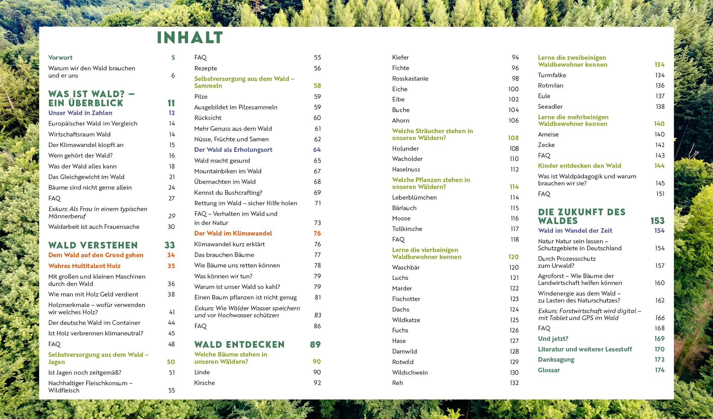 Beispielinhalt (Bild) Forst erklärt: Warum wir den Wald brauchen - und er uns
