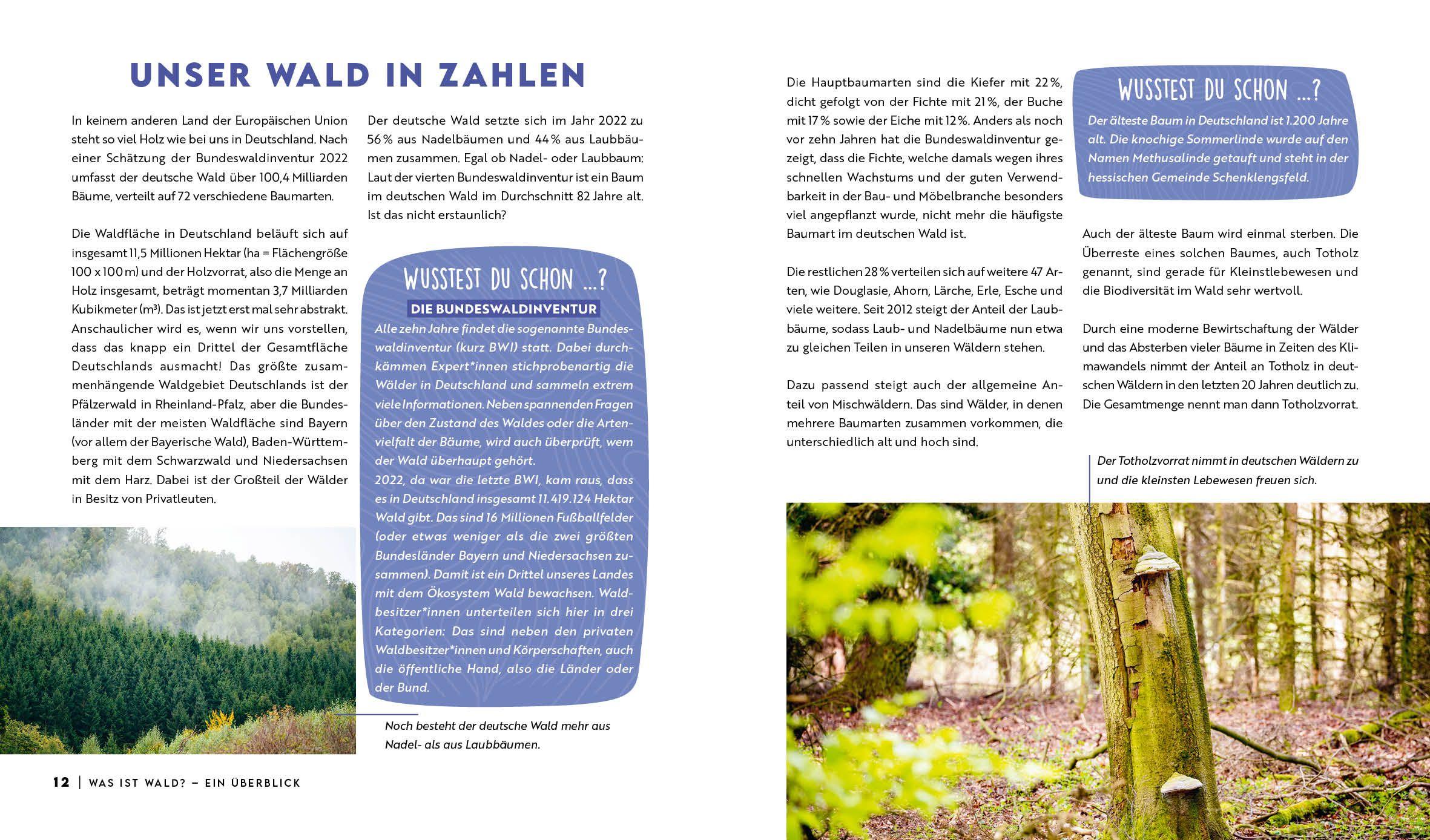 Beispielinhalt (Bild) Forst erklärt: Warum wir den Wald brauchen - und er uns