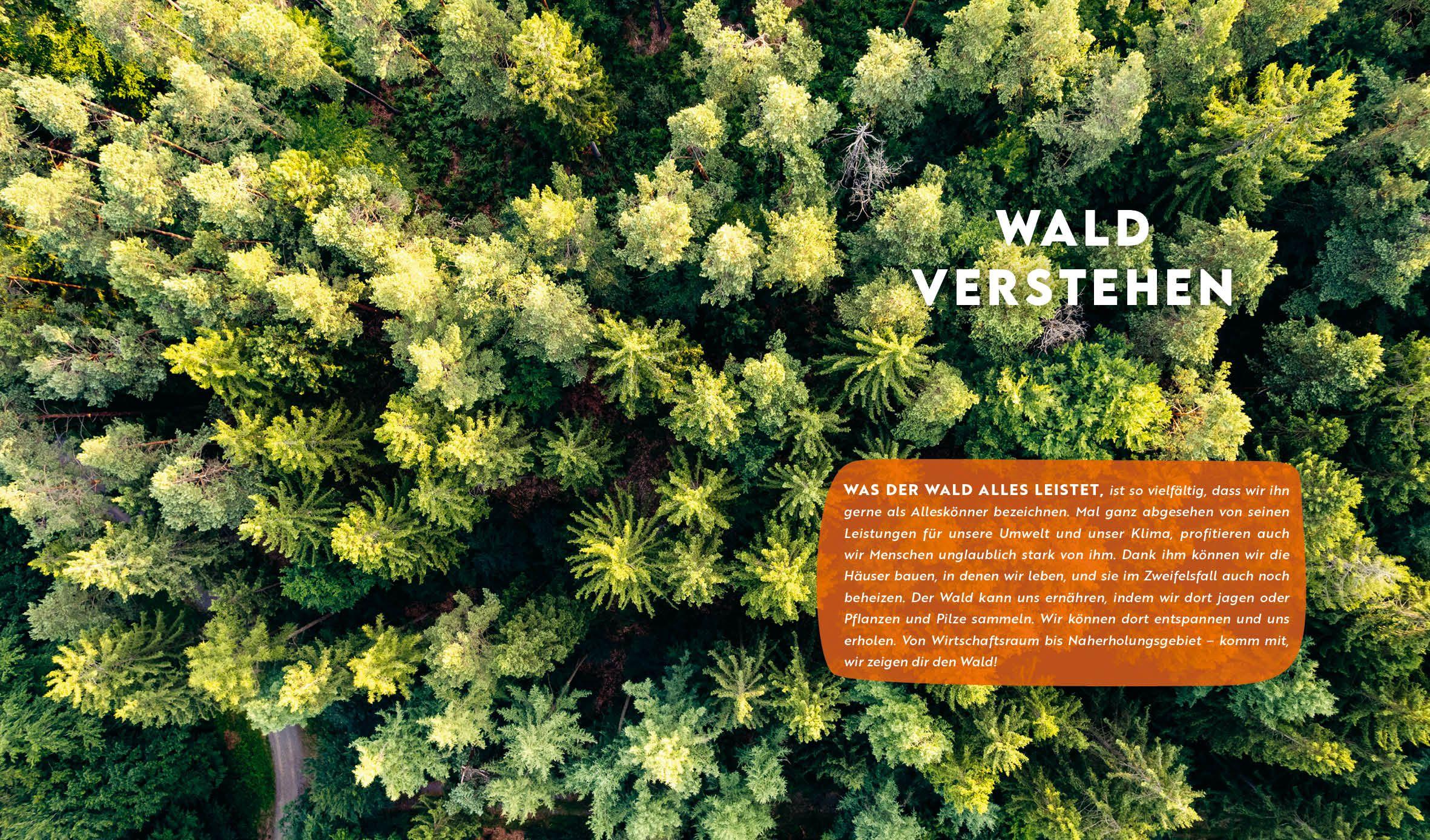 Beispielinhalt (Bild) Forst erklärt: Warum wir den Wald brauchen - und er uns