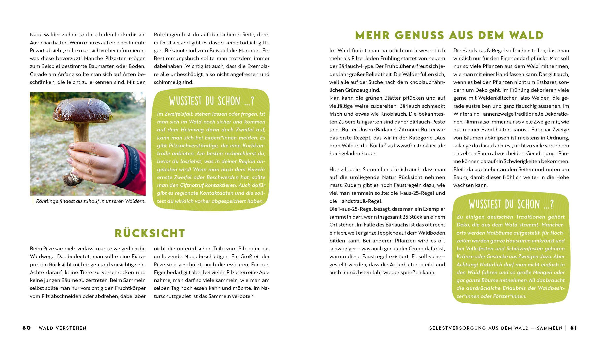 Beispielinhalt (Bild) Forst erklärt: Warum wir den Wald brauchen - und er uns