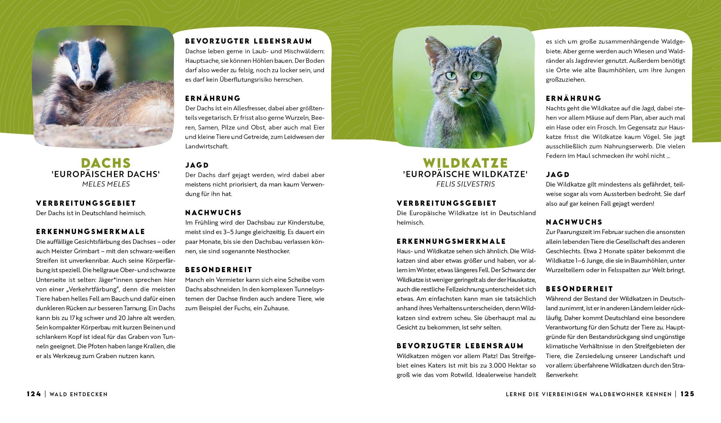 Beispielinhalt (Bild) Forst erklärt: Warum wir den Wald brauchen - und er uns