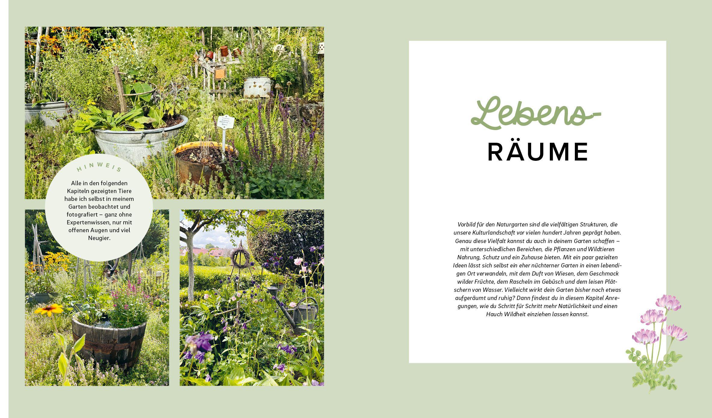 Beispielinhalt (Bild) Mein wilder, bunter Garten - Einfach naturnah gärtnern