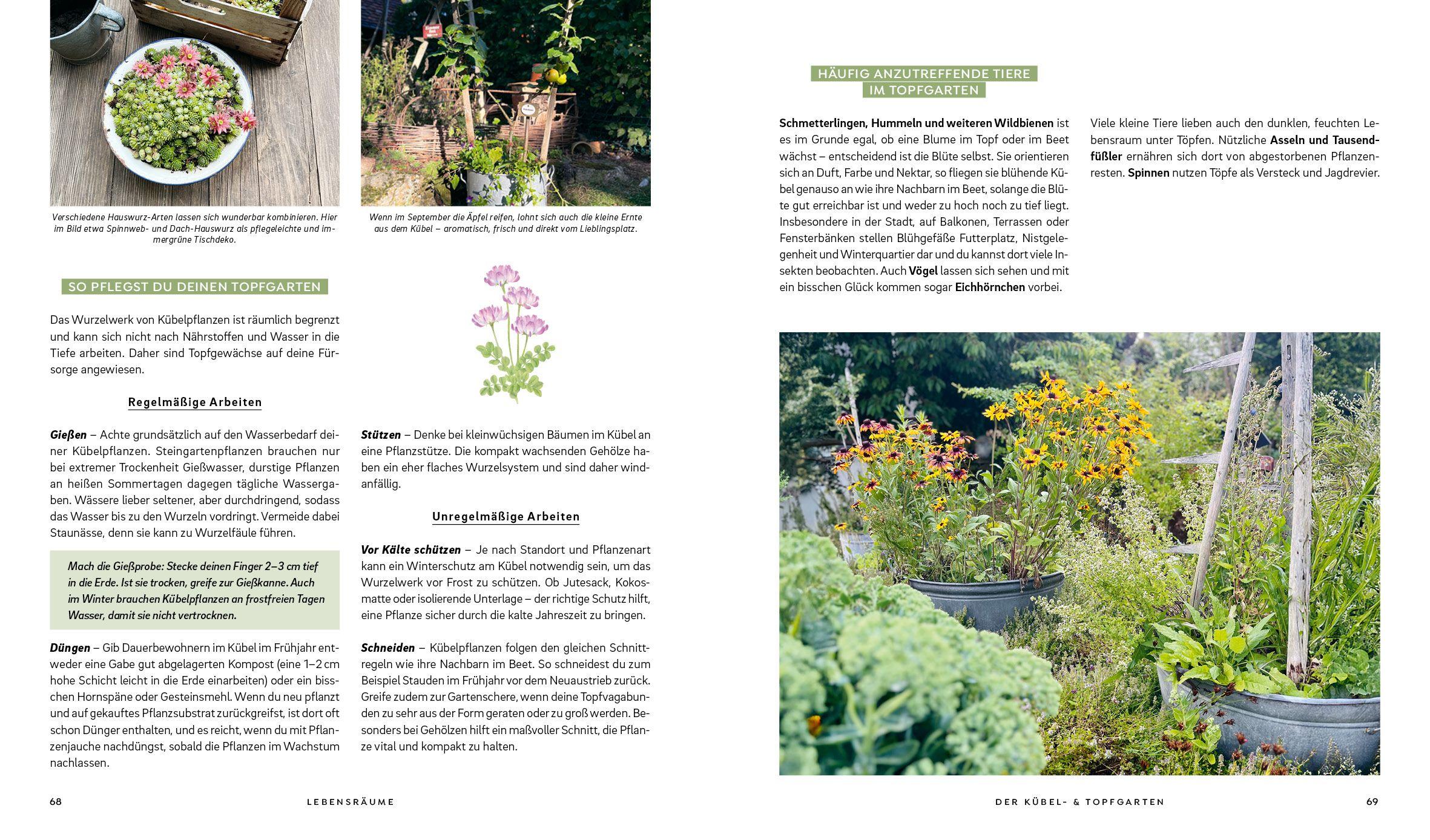 Beispielinhalt (Bild) Mein wilder, bunter Garten - Einfach naturnah gärtnern