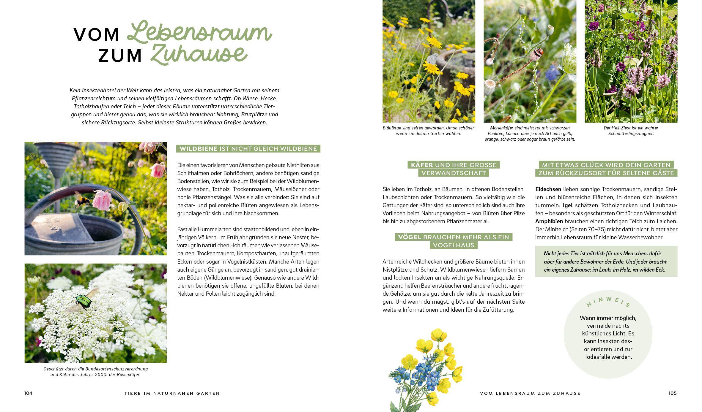 Beispielinhalt (Bild) Mein wilder, bunter Garten - Einfach naturnah gärtnern