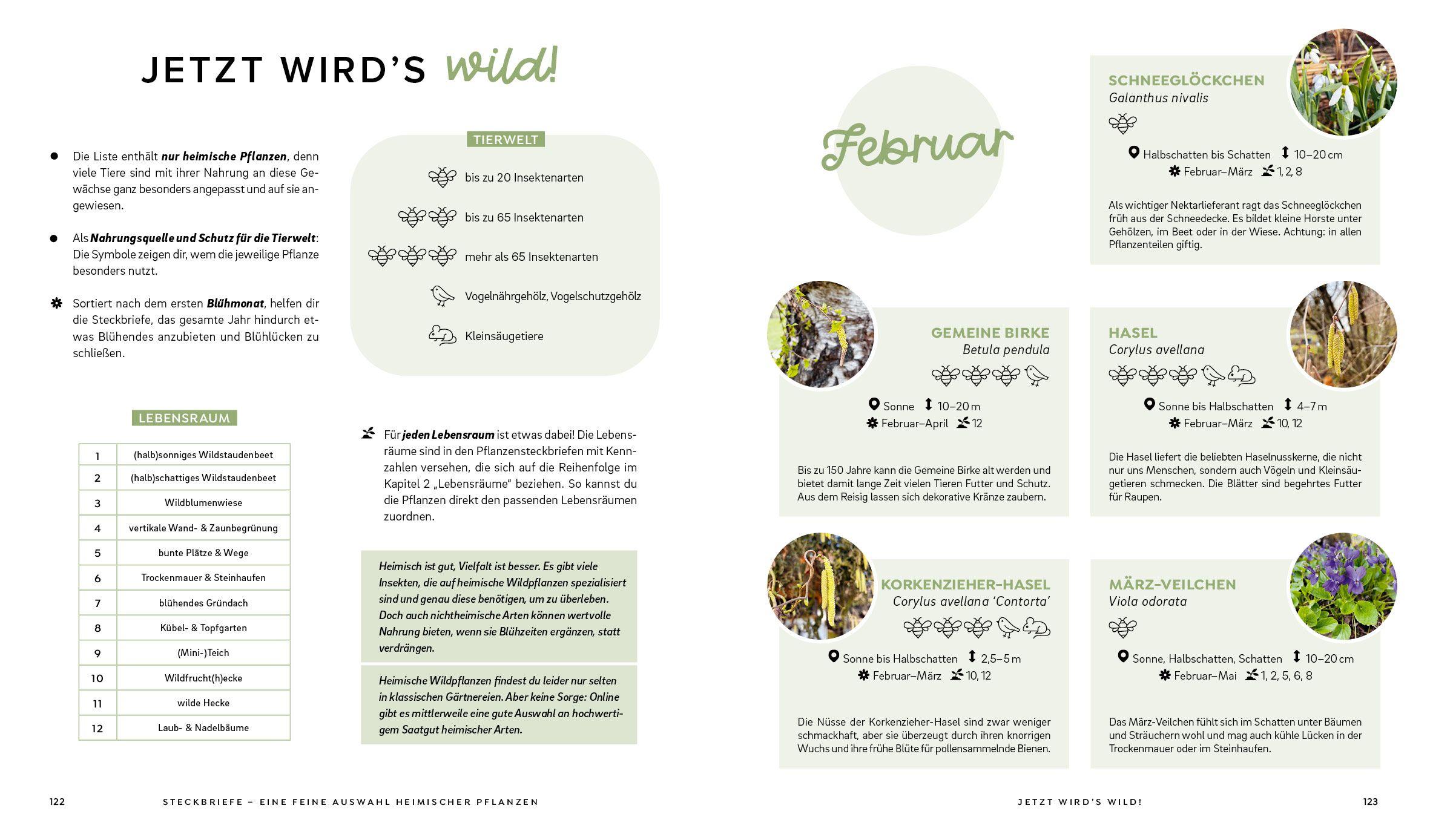 Beispielinhalt (Bild) Mein wilder, bunter Garten - Einfach naturnah gärtnern