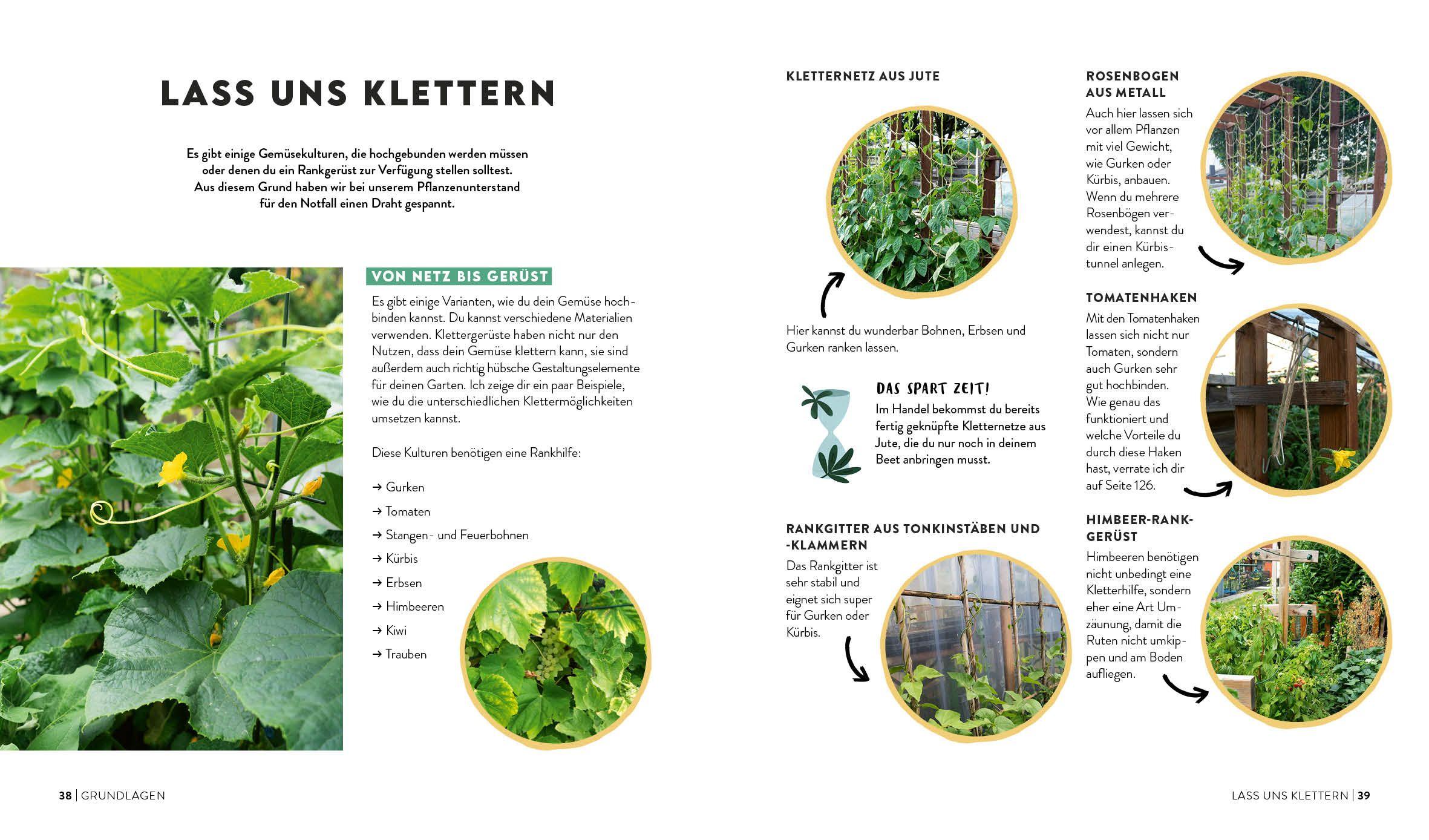 Beispielinhalt (Bild) Keine Zeit zu gärtnern - Gemüse länger ernten in Gewächshaus, Frühbeet & Co.