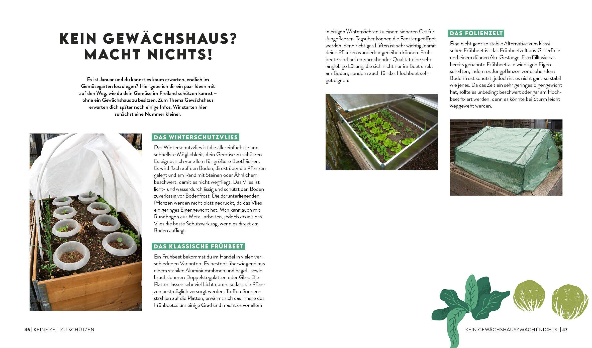 Beispielinhalt (Bild) Keine Zeit zu gärtnern - Gemüse länger ernten in Gewächshaus, Frühbeet & Co.