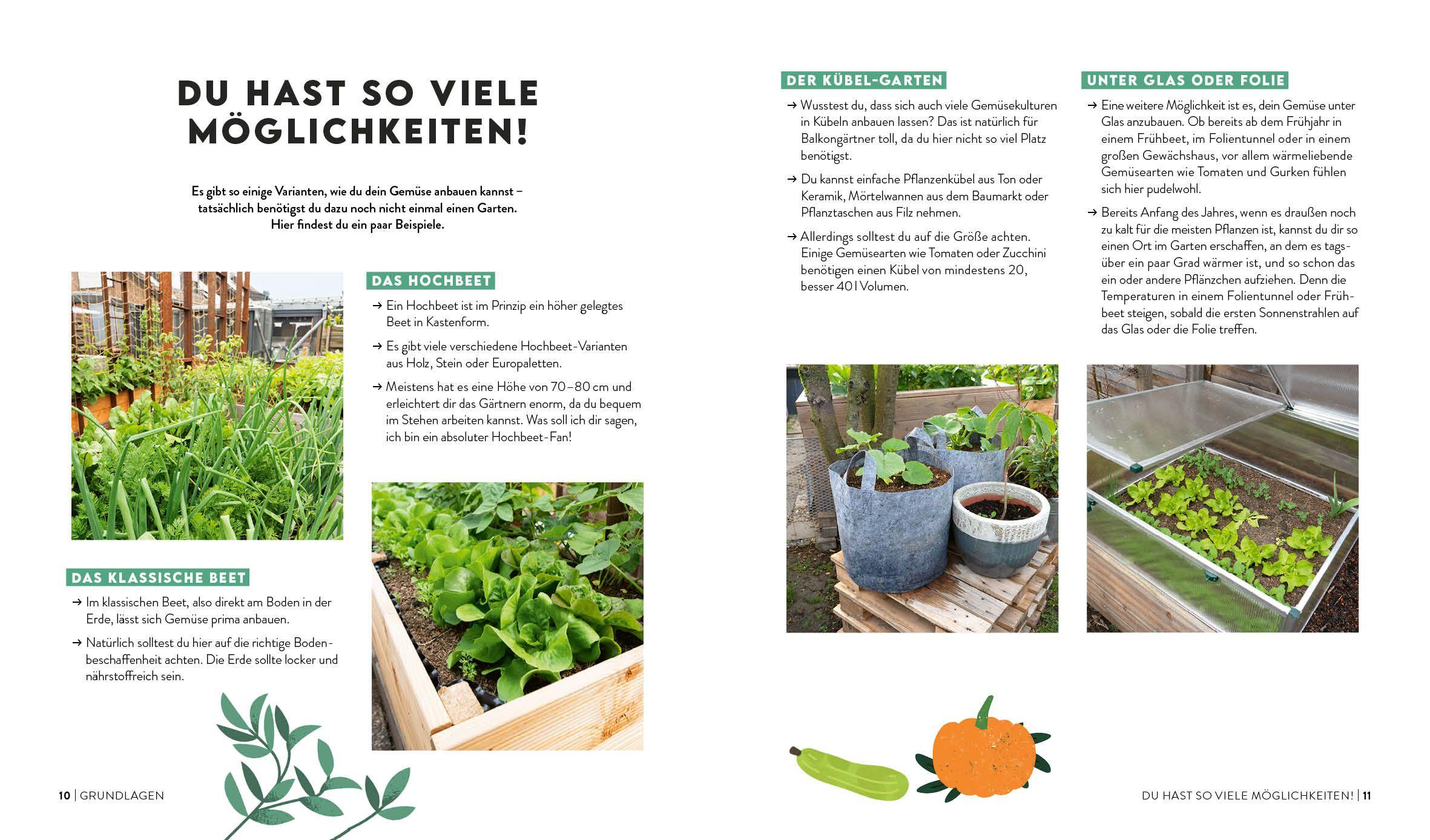 Beispielinhalt (Bild) Keine Zeit zu gärtnern - Gemüse länger ernten in Gewächshaus, Frühbeet & Co.