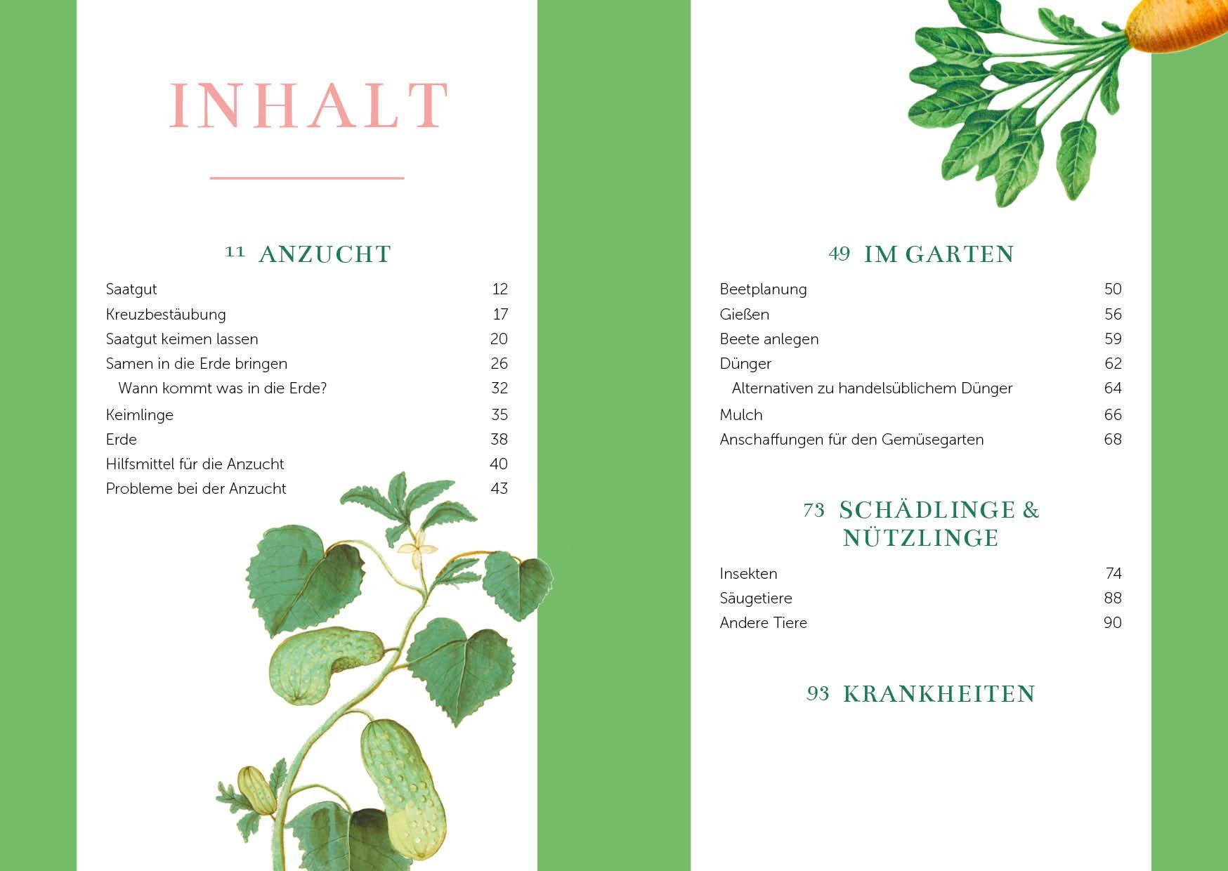 Beispielinhalt (Bild) Das Gemüsegarten 1 x 1