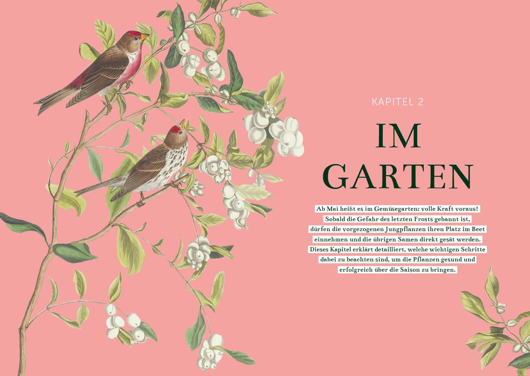 Beispielinhalt (Bild) Das Gemüsegarten 1 x 1