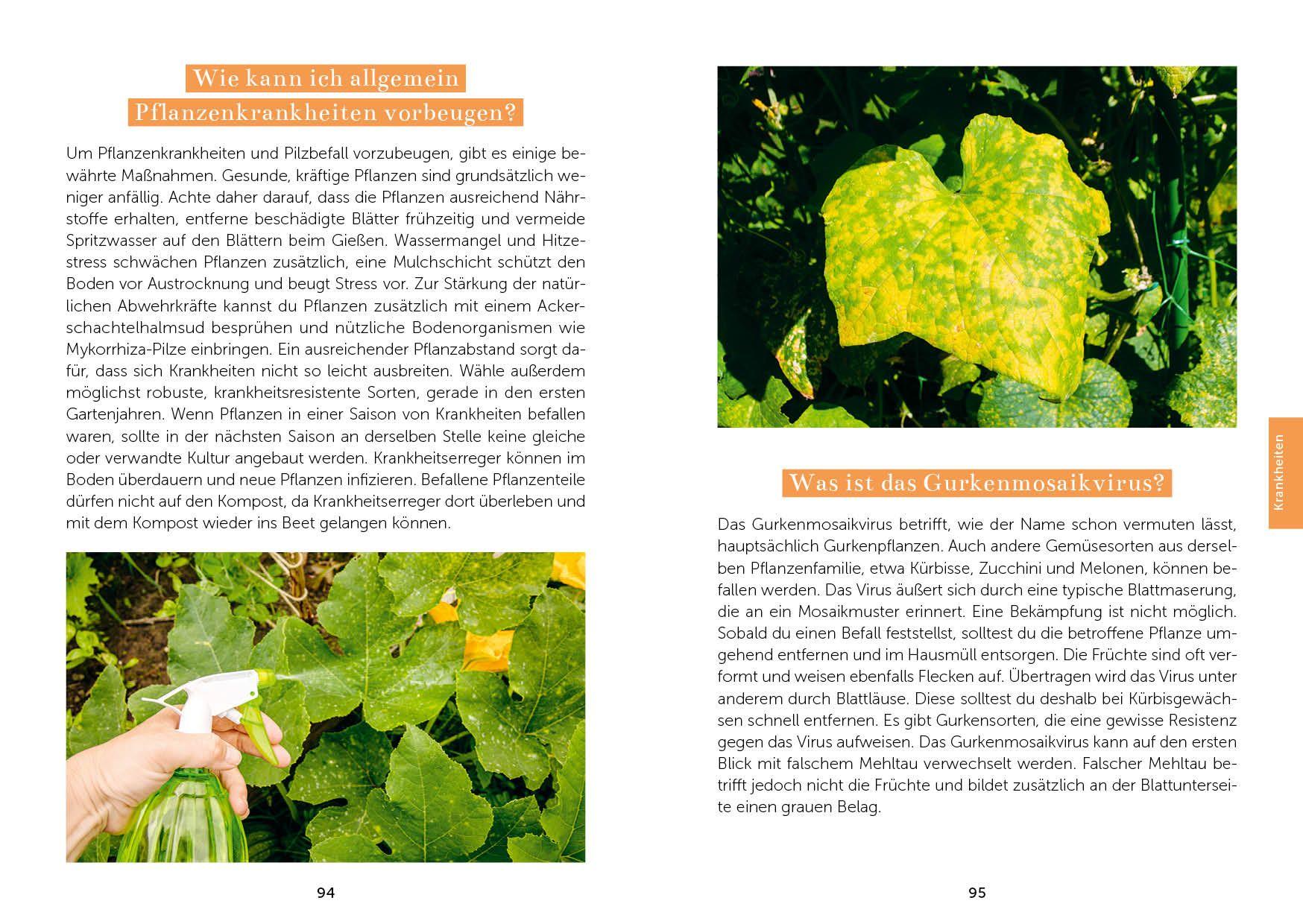 Beispielinhalt (Bild) Das Gemüsegarten 1 x 1