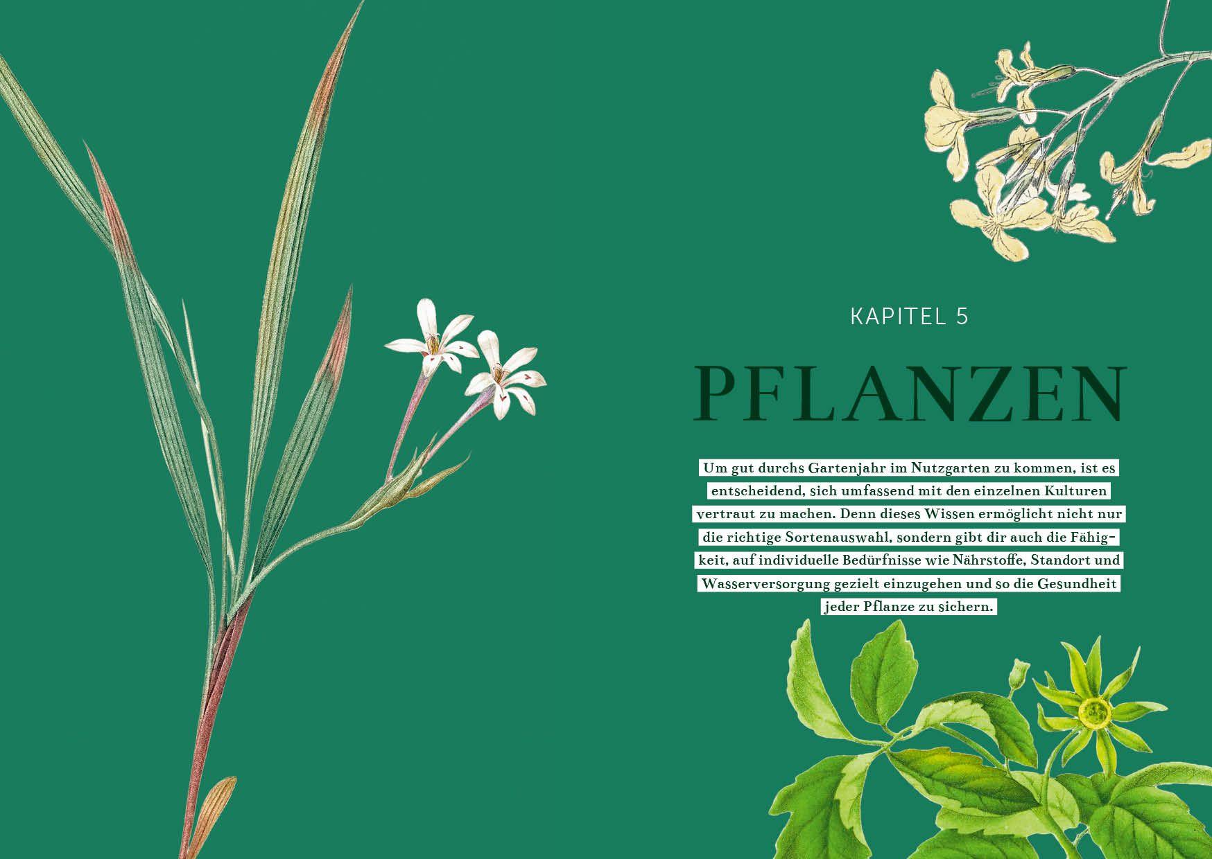 Beispielinhalt (Bild) Das Gemüsegarten 1 x 1