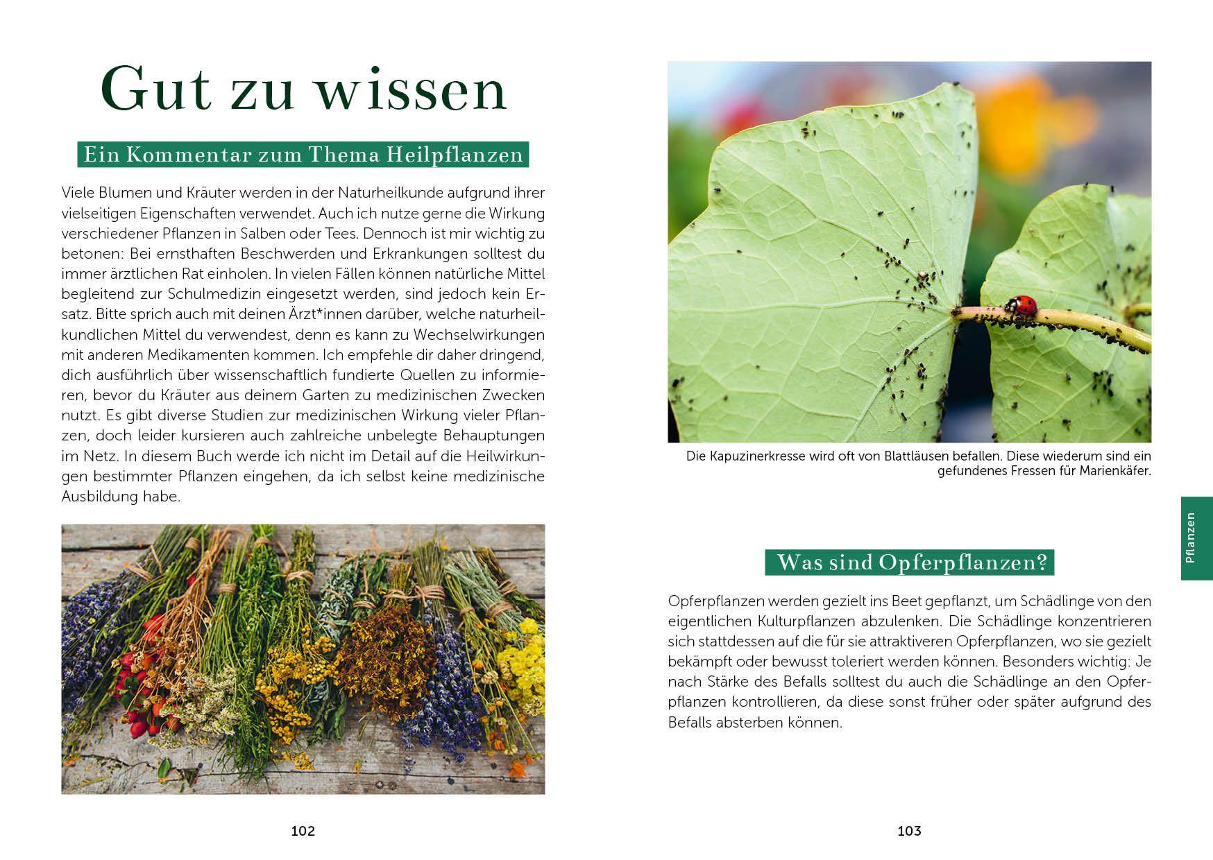 Beispielinhalt (Bild) Das Gemüsegarten 1 x 1