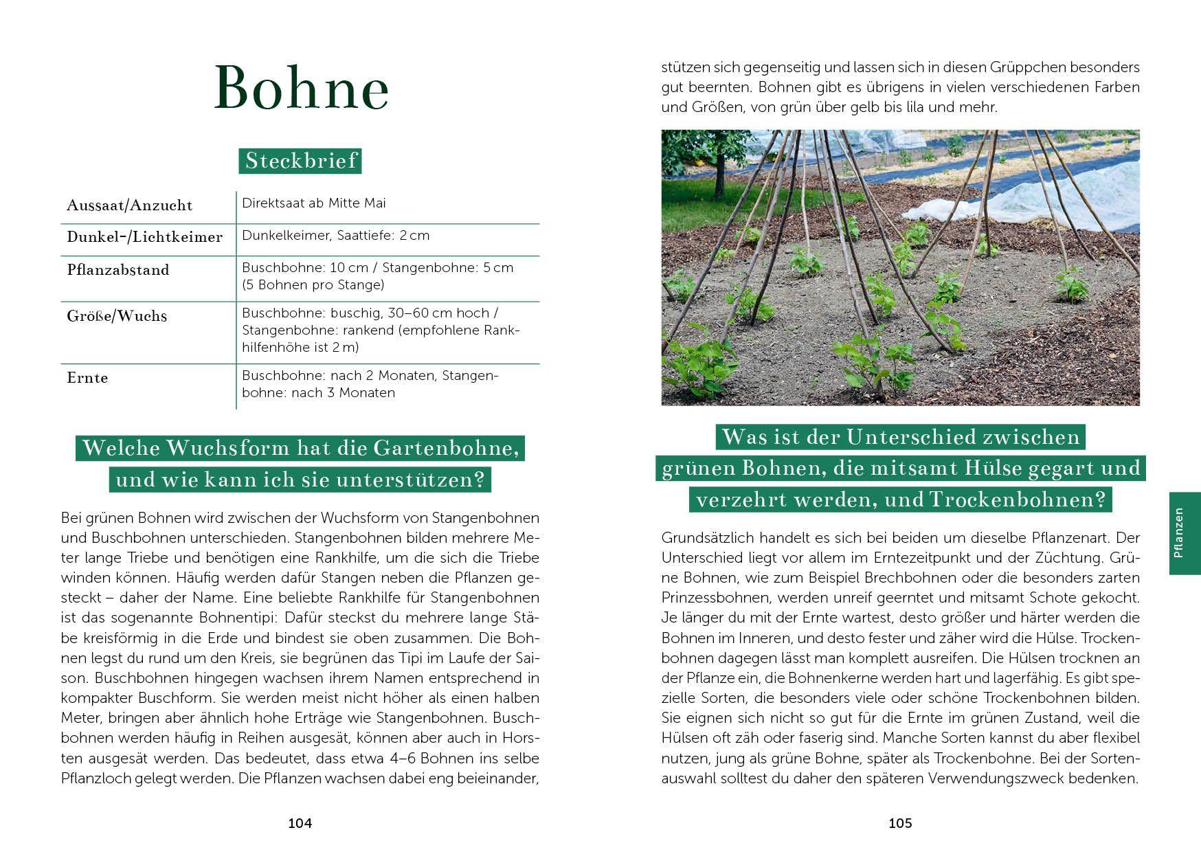 Beispielinhalt (Bild) Das Gemüsegarten 1 x 1