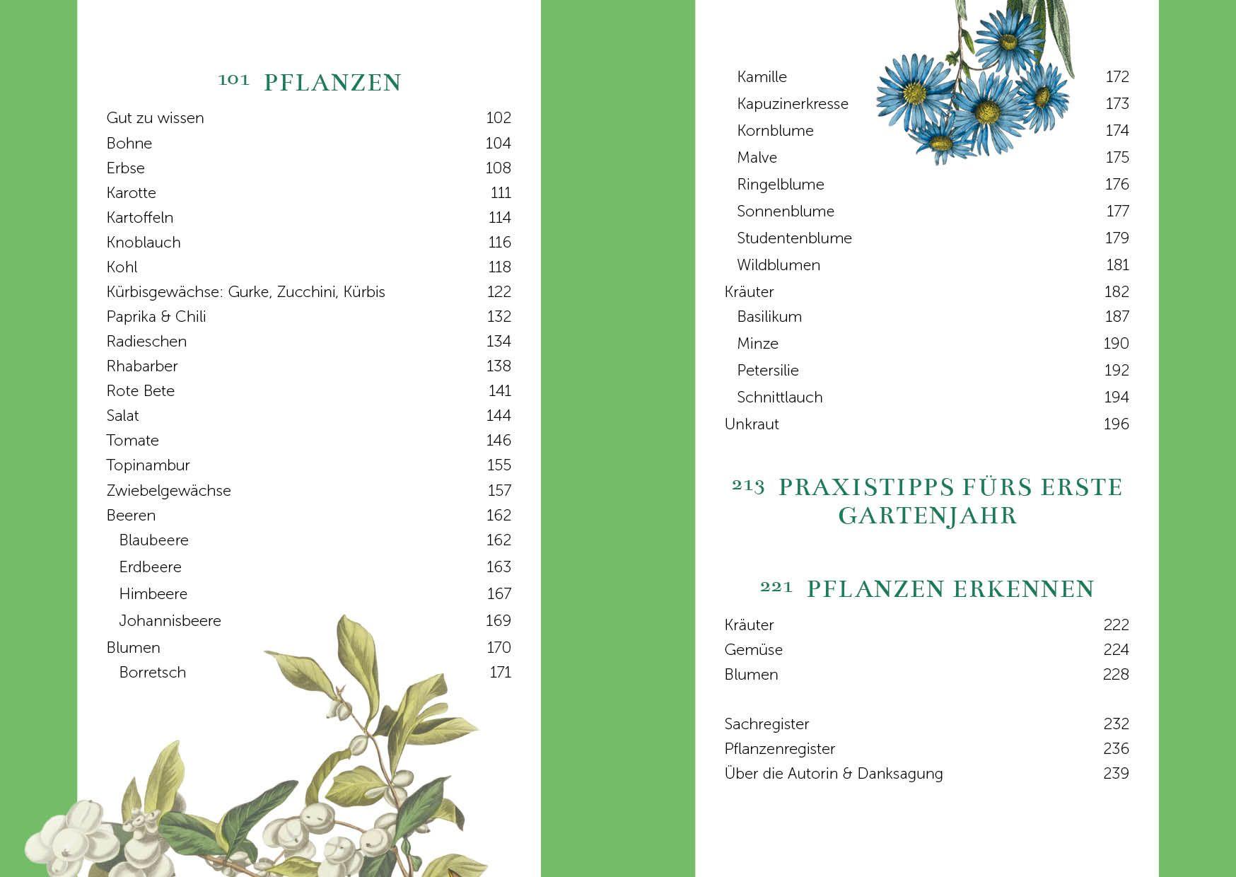 Beispielinhalt (Bild) Das Gemüsegarten 1 x 1