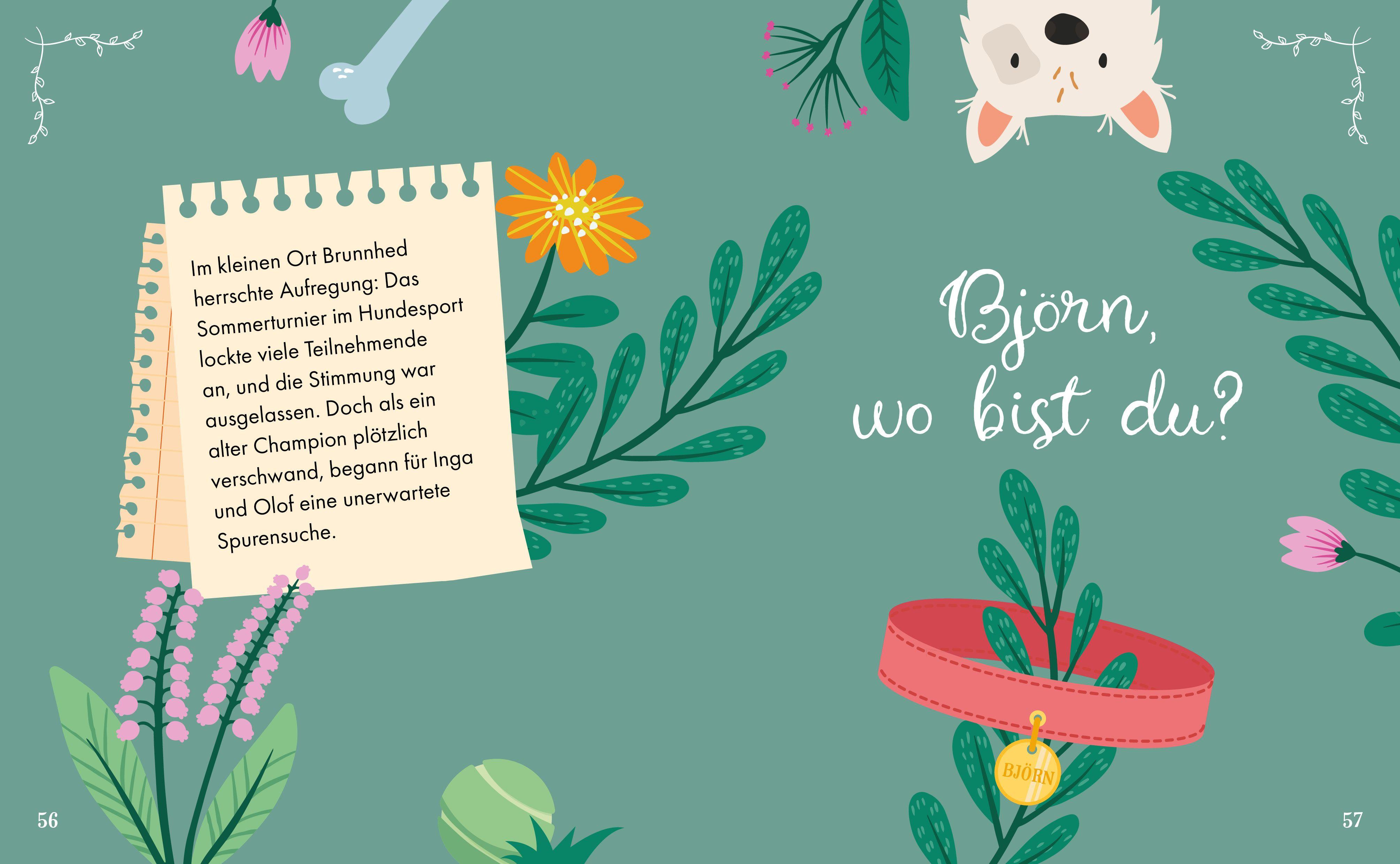 Beispielinhalt (Bild) Cosy Crime - Ein Rätselsommer in Schweden