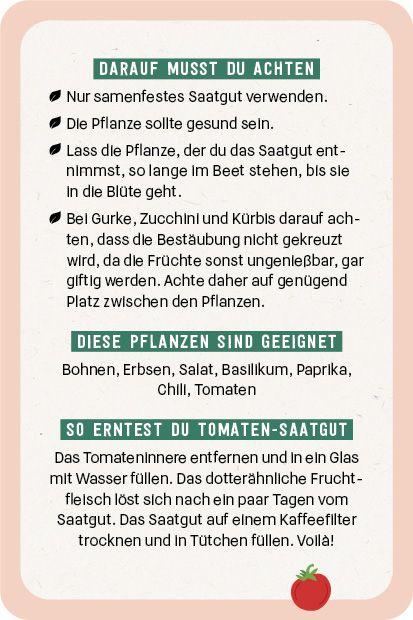 Beispielinhalt (Bild) Kartenset: Hochbeet super easy