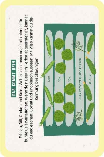 Beispielinhalt (Bild) Kartenset: Hochbeet super easy