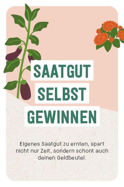 Beispielinhalt (Bild) Kartenset: Hochbeet super easy