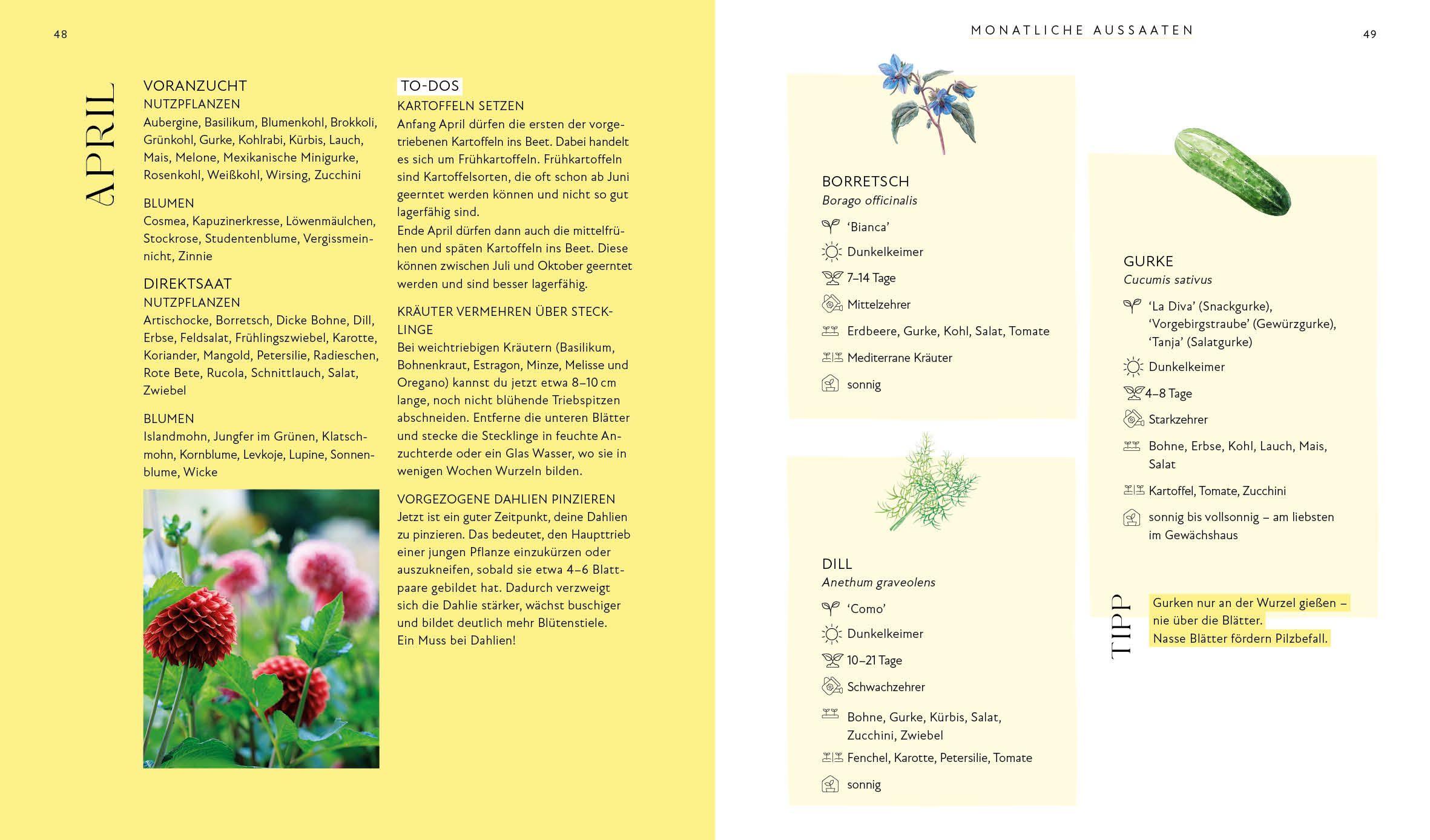 Beispielinhalt (Bild) Blütenpracht und Ernteglück - Dein Weg zum Traumgarten