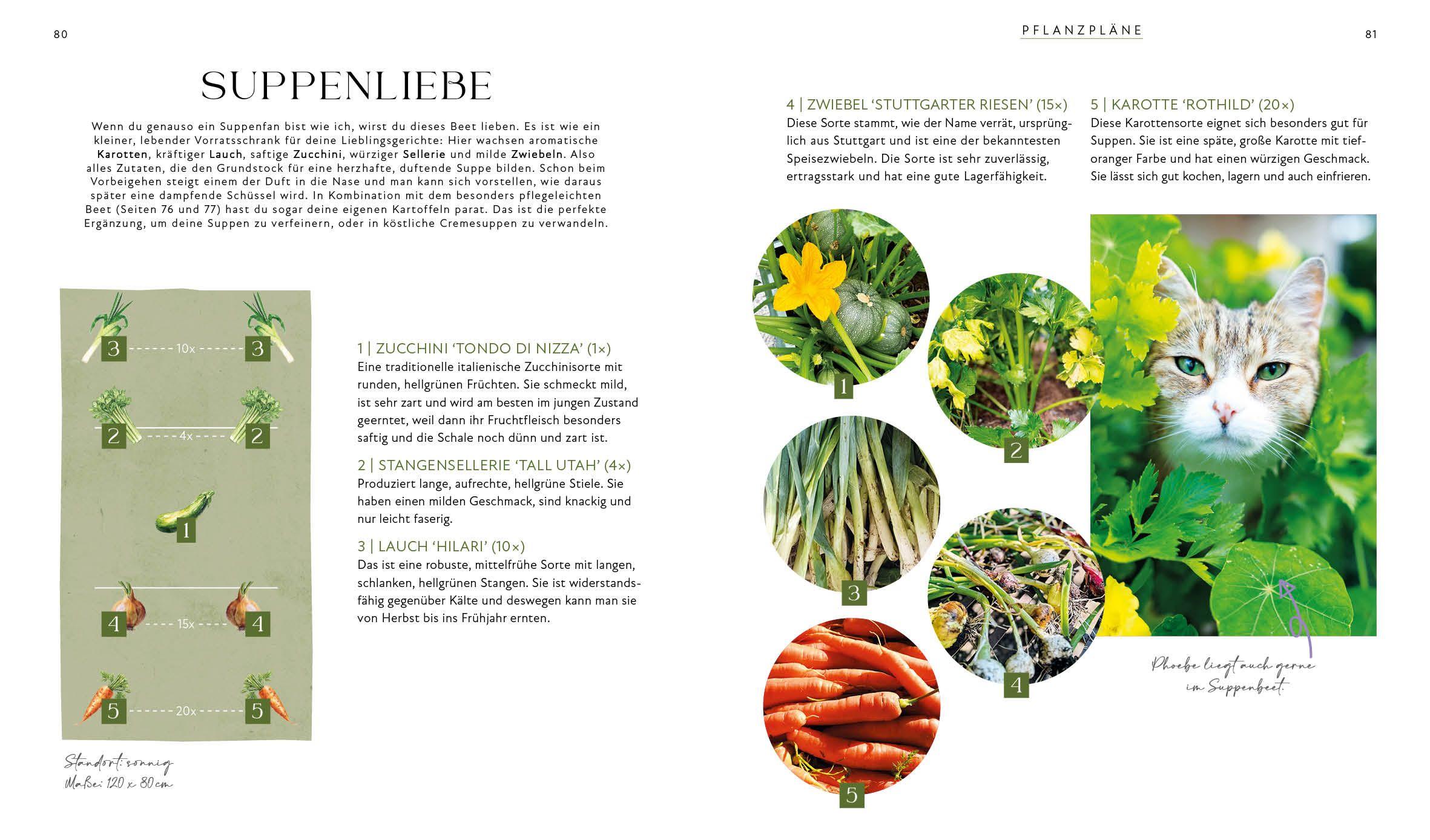 Beispielinhalt (Bild) Blütenpracht und Ernteglück - Dein Weg zum Traumgarten