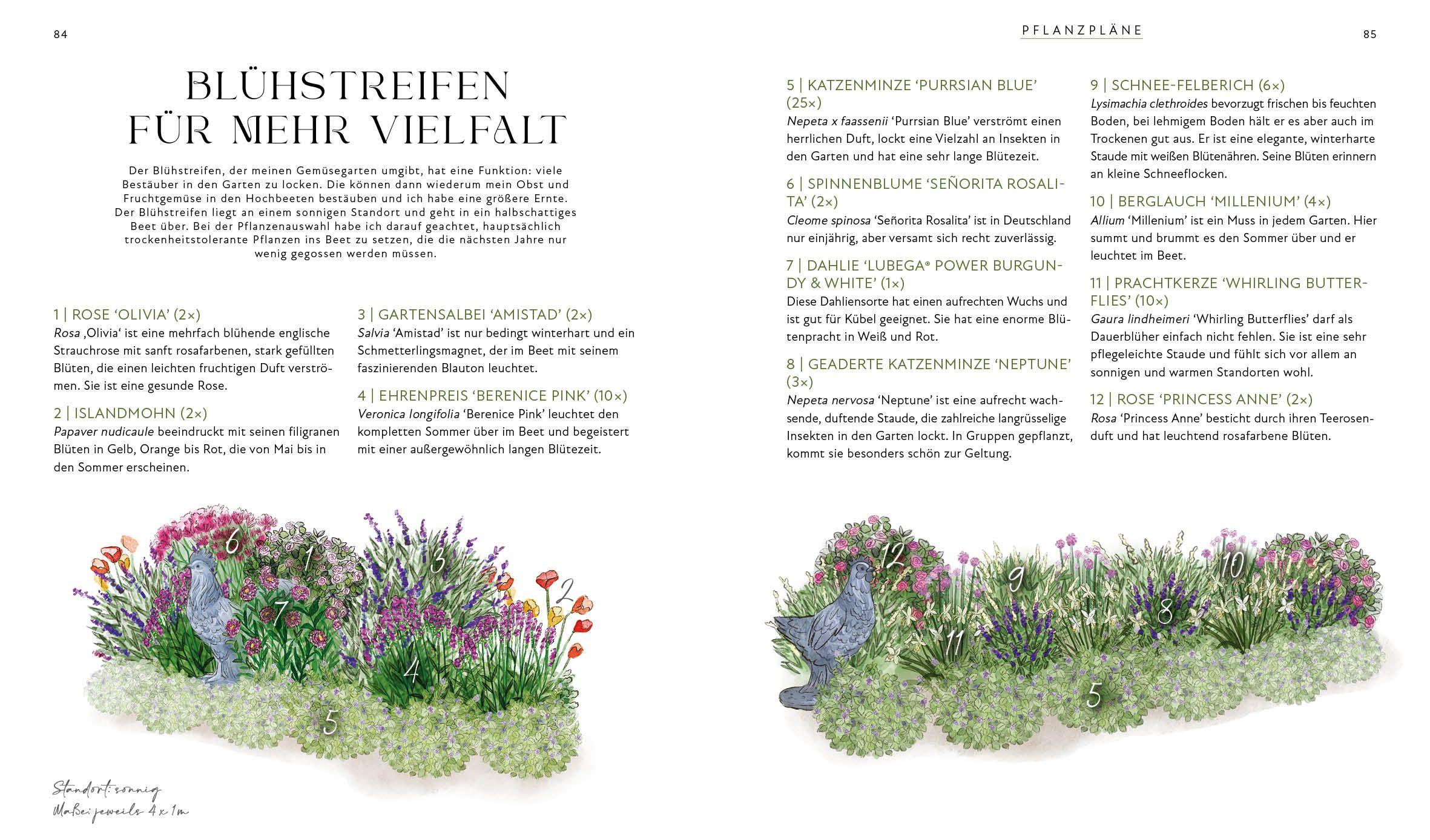 Beispielinhalt (Bild) Blütenpracht und Ernteglück - Dein Weg zum Traumgarten