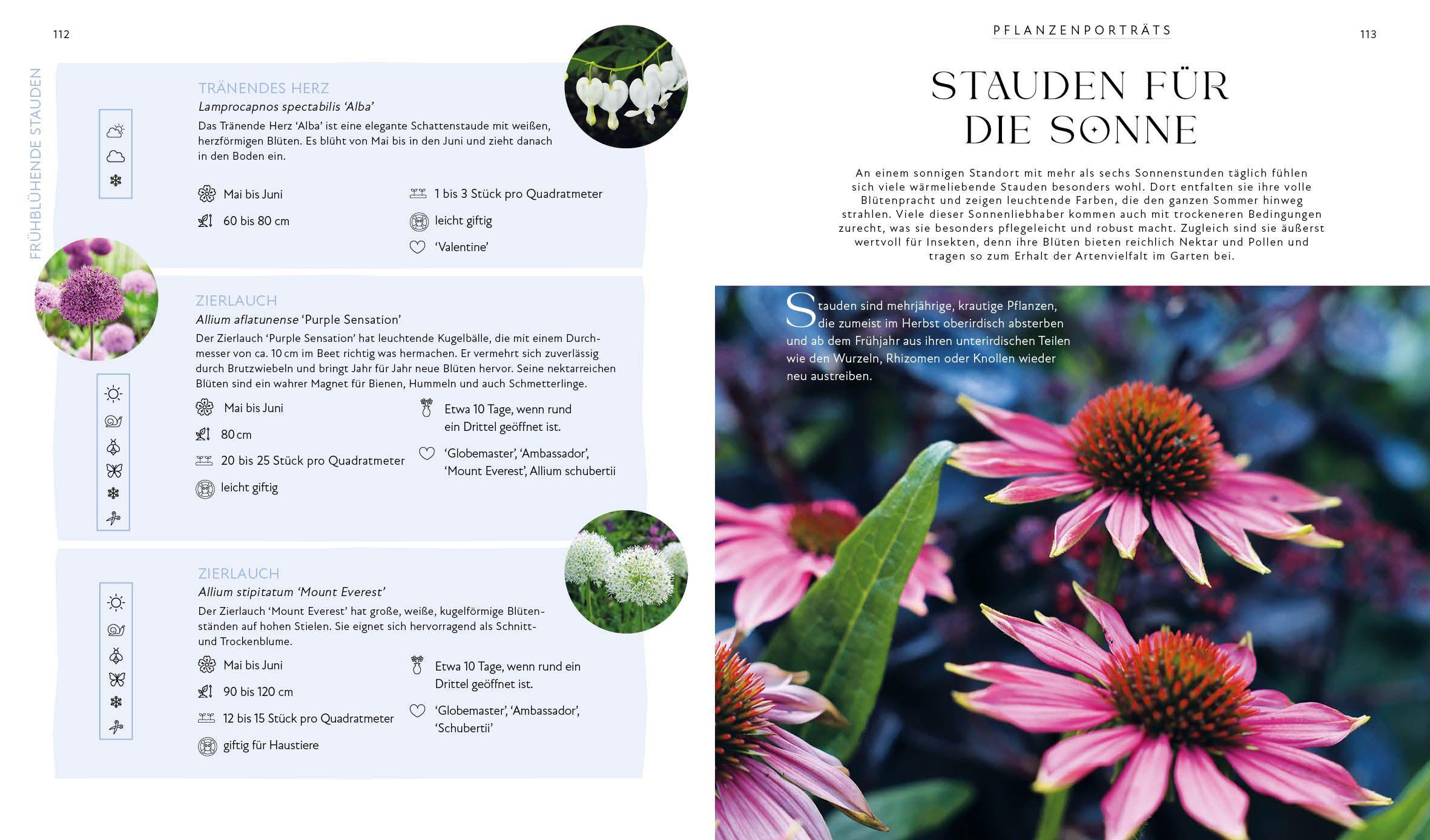 Beispielinhalt (Bild) Blütenpracht und Ernteglück - Dein Weg zum Traumgarten