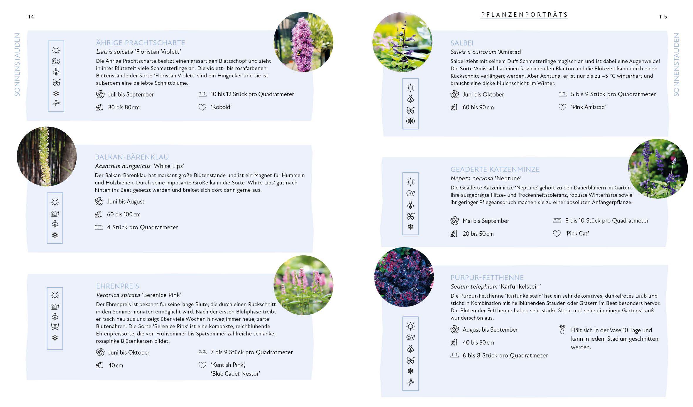 Beispielinhalt (Bild) Blütenpracht und Ernteglück - Dein Weg zum Traumgarten