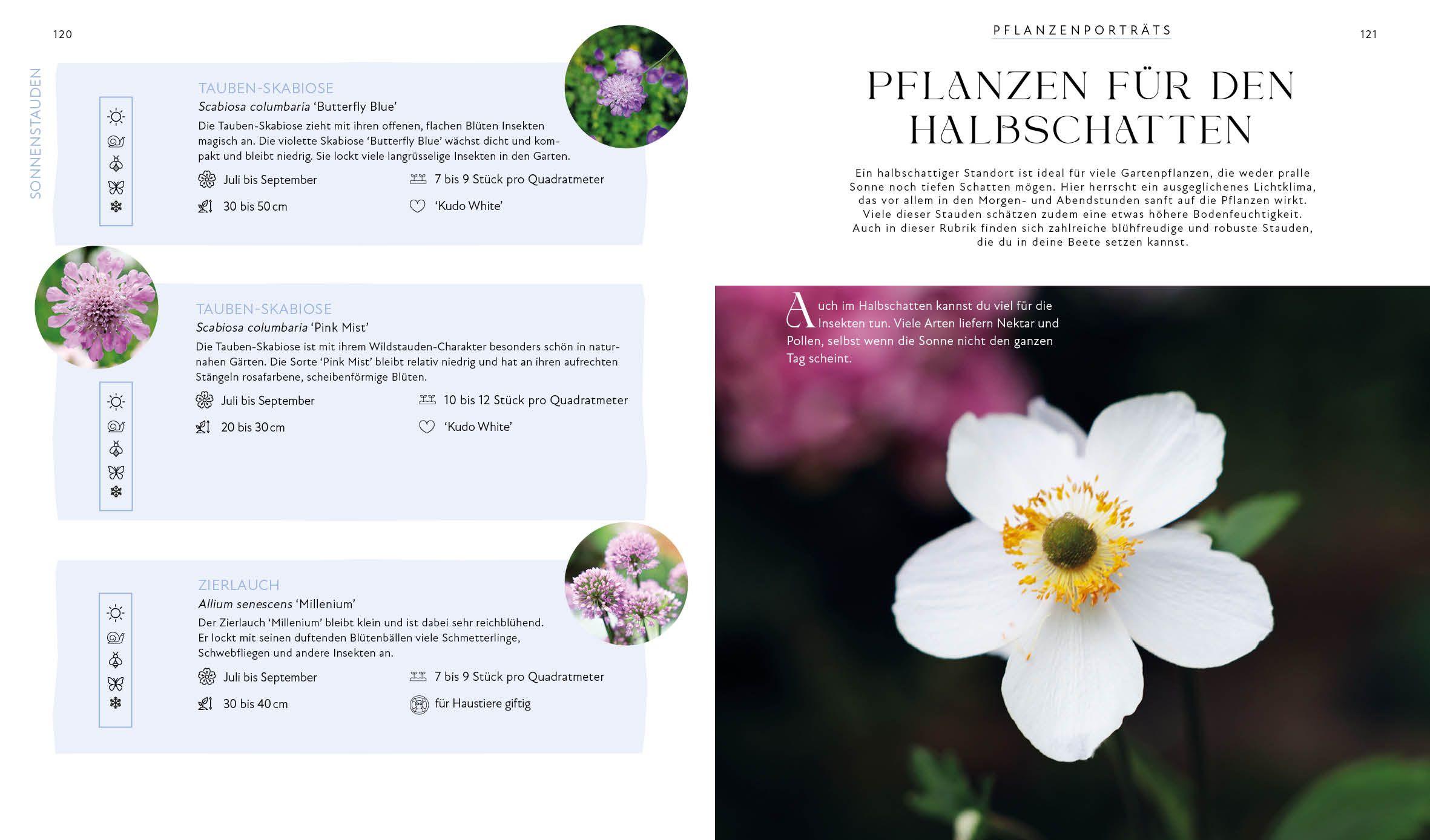 Beispielinhalt (Bild) Blütenpracht und Ernteglück - Dein Weg zum Traumgarten