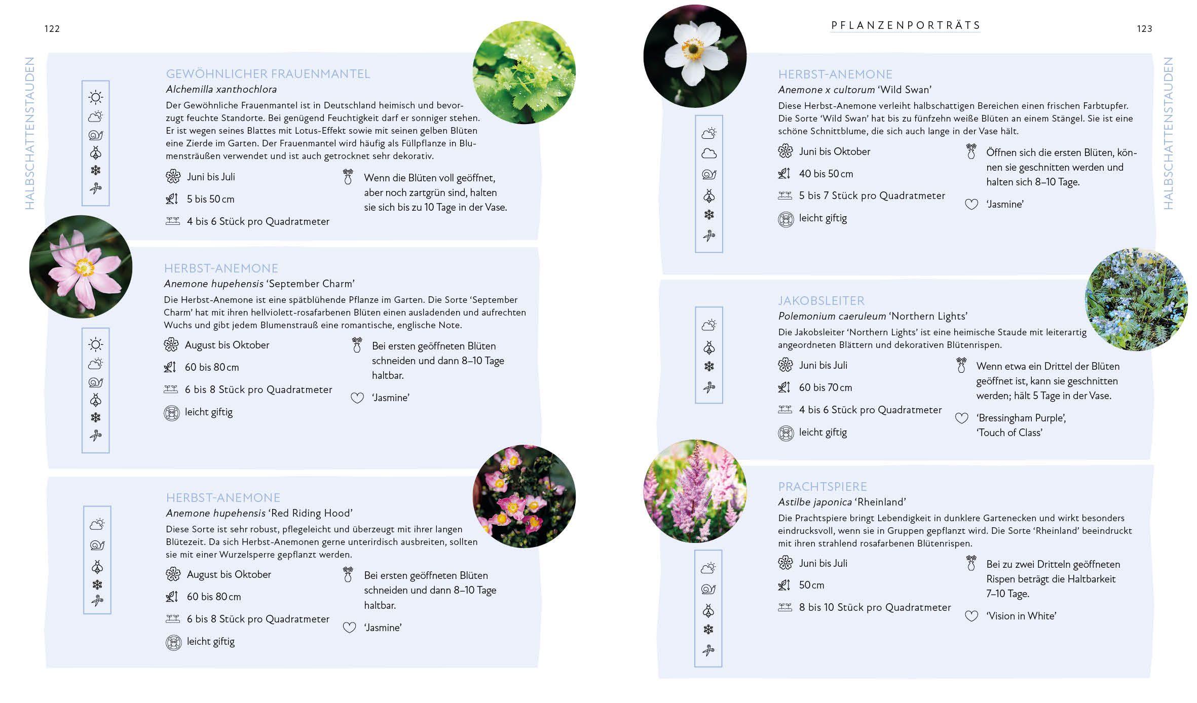 Beispielinhalt (Bild) Blütenpracht und Ernteglück - Dein Weg zum Traumgarten