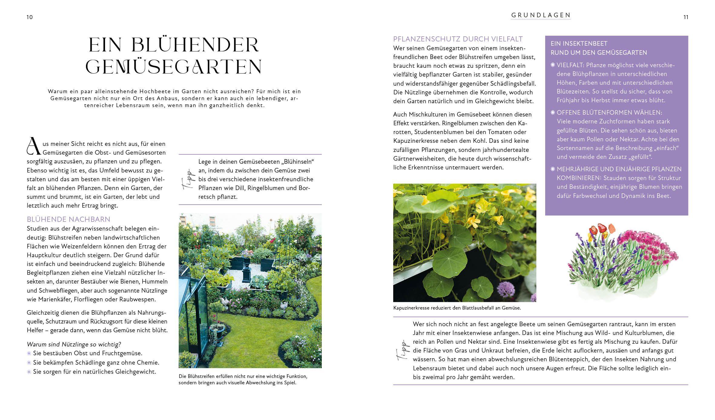 Beispielinhalt (Bild) Blütenpracht und Ernteglück - Dein Weg zum Traumgarten