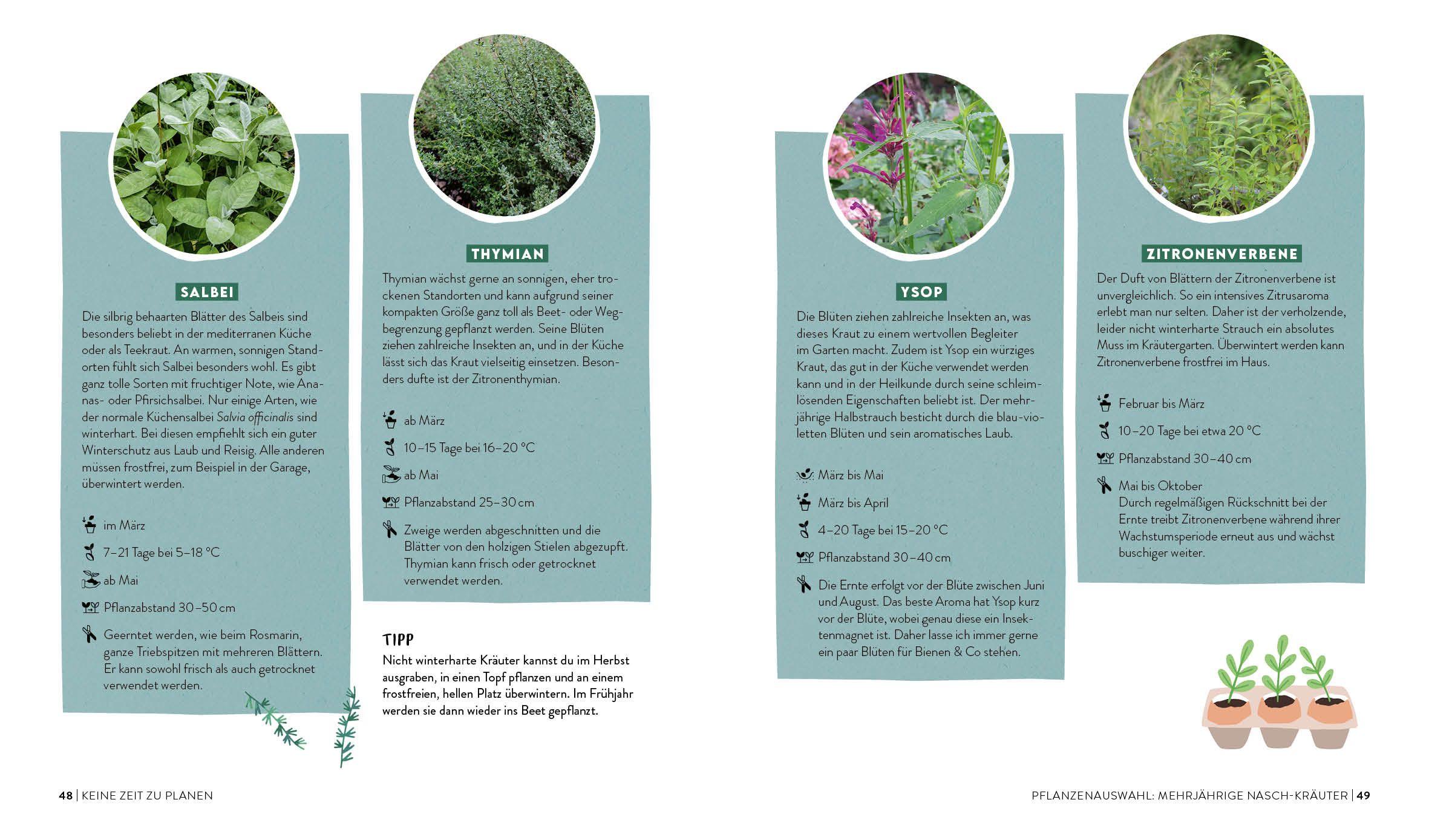 Beispielinhalt (Bild) Keine Zeit zu gärtnern - Easy Ernteglück mit wenig Aufwand