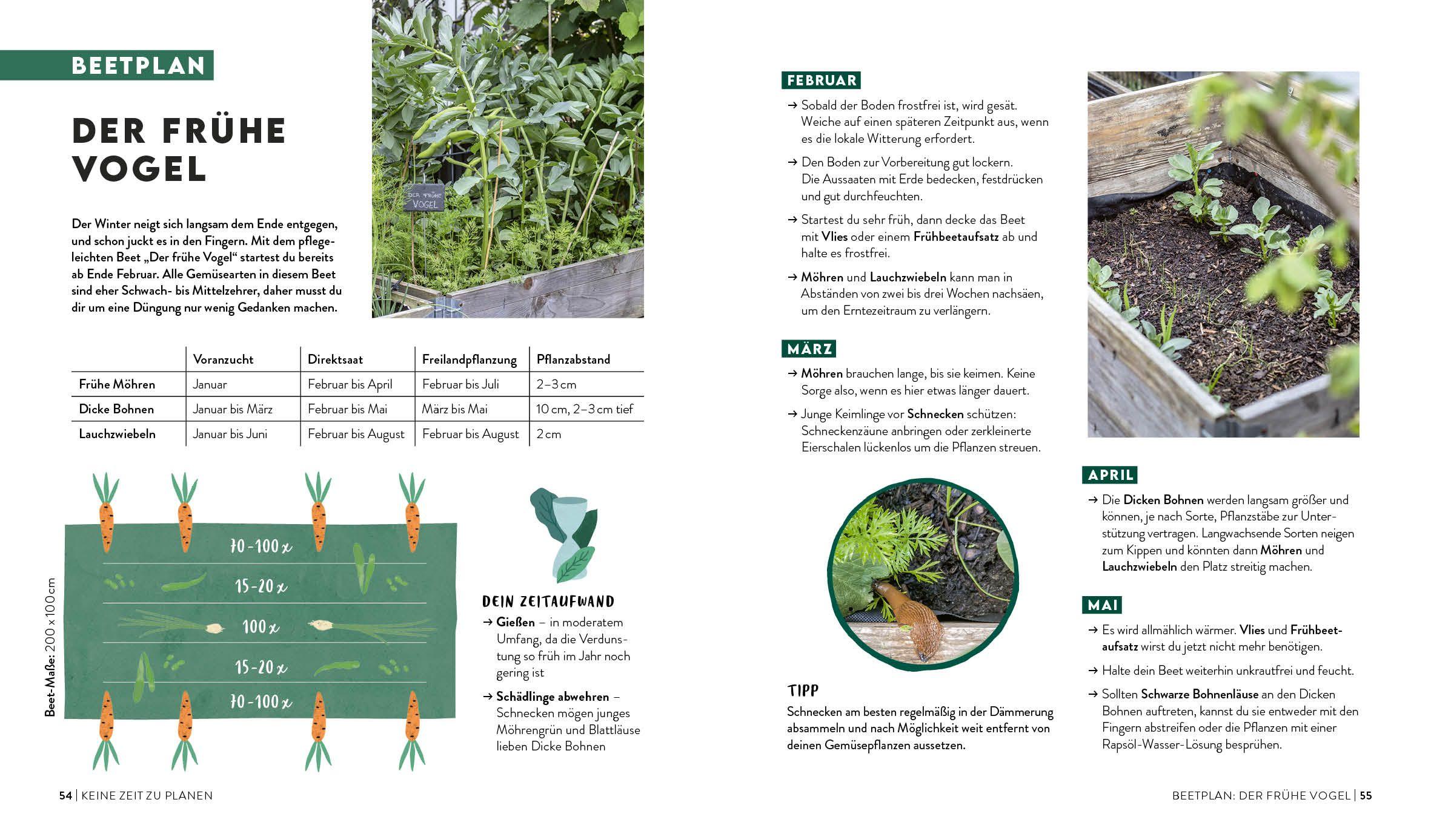 Beispielinhalt (Bild) Keine Zeit zu gärtnern - Easy Ernteglück mit wenig Aufwand