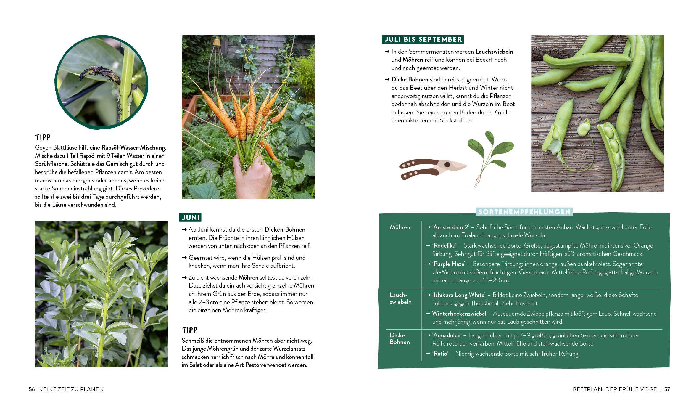 Beispielinhalt (Bild) Keine Zeit zu gärtnern - Easy Ernteglück mit wenig Aufwand