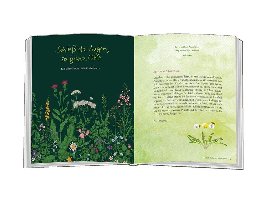 Beispielinhalt (Bild) Da blüht die Seele auf