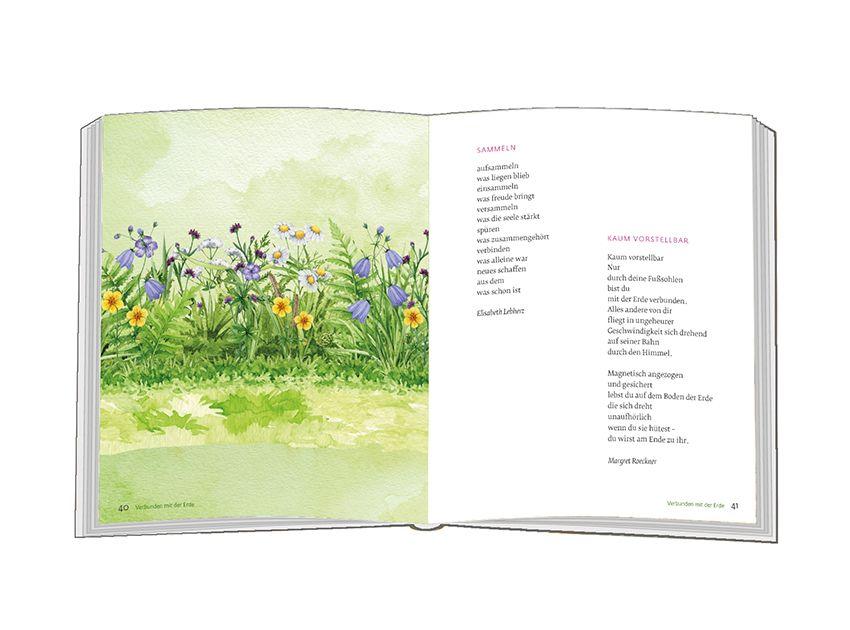 Beispielinhalt (Bild) Da blüht die Seele auf