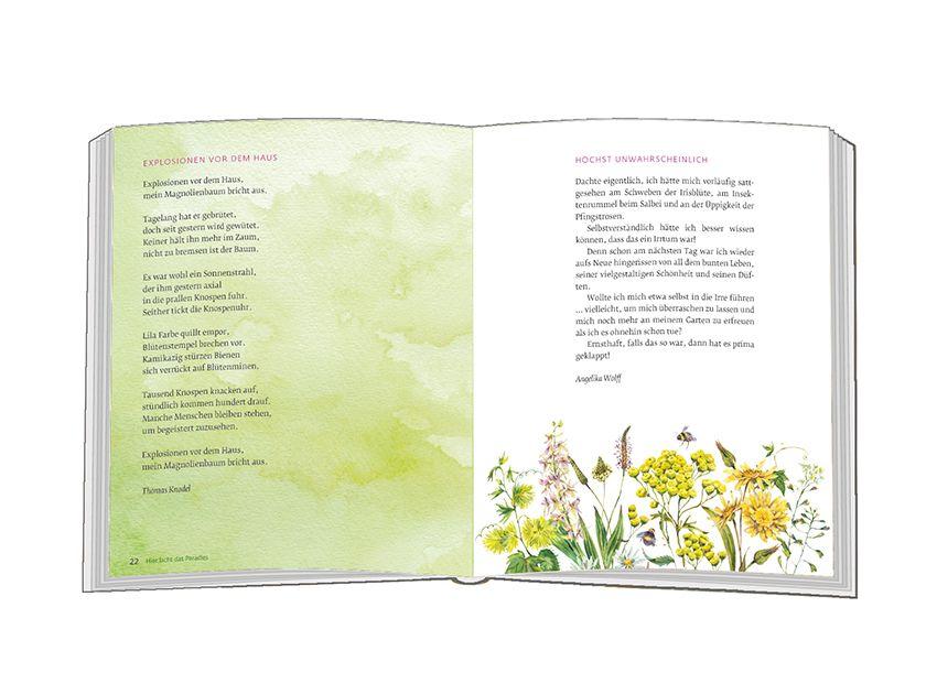 Beispielinhalt (Bild) Da blüht die Seele auf