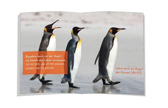 Beispielinhalt (Bild) Die Kunst der kleinen Schritte