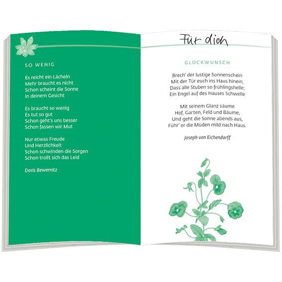 Beispielinhalt (Bild) Der kleine Seelentröster