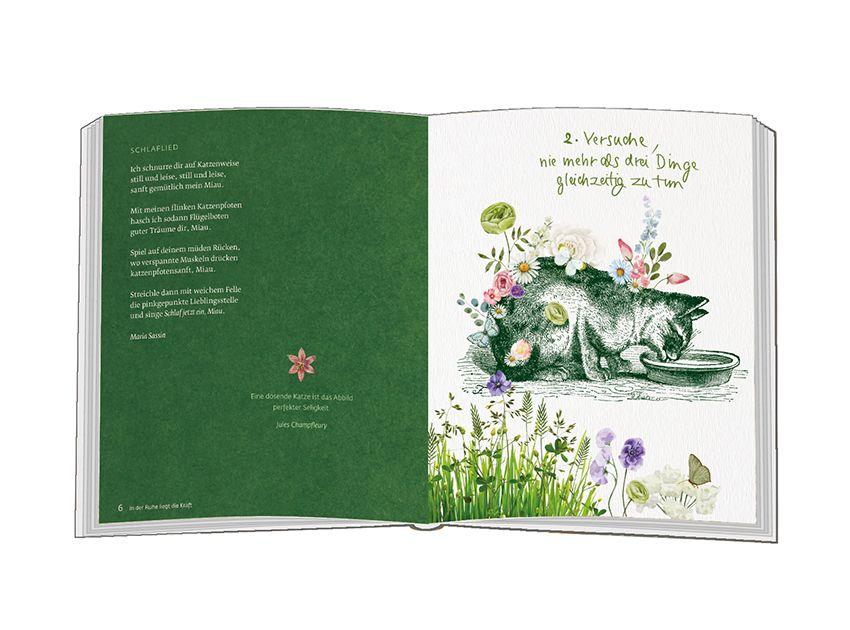 Beispielinhalt (Bild) Versuche, nie mehr als drei Dinge gleichzeitig zu tun